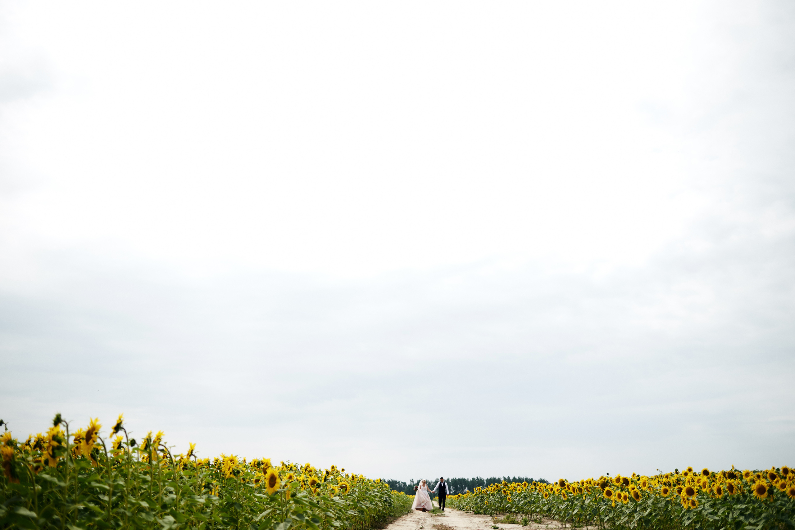 Олексадр & Анастасія, Весілля Нетішин, Сонет, ресторан сонет, весілля. Фотограф Шепетівка, вся Україна, Дзекан Денис!