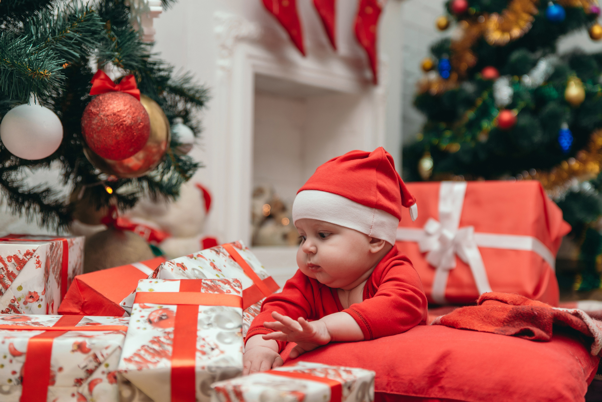 Сімейна, новорічна. Photographer Shepetivka, all over Ukraine, Dzekan Denys!