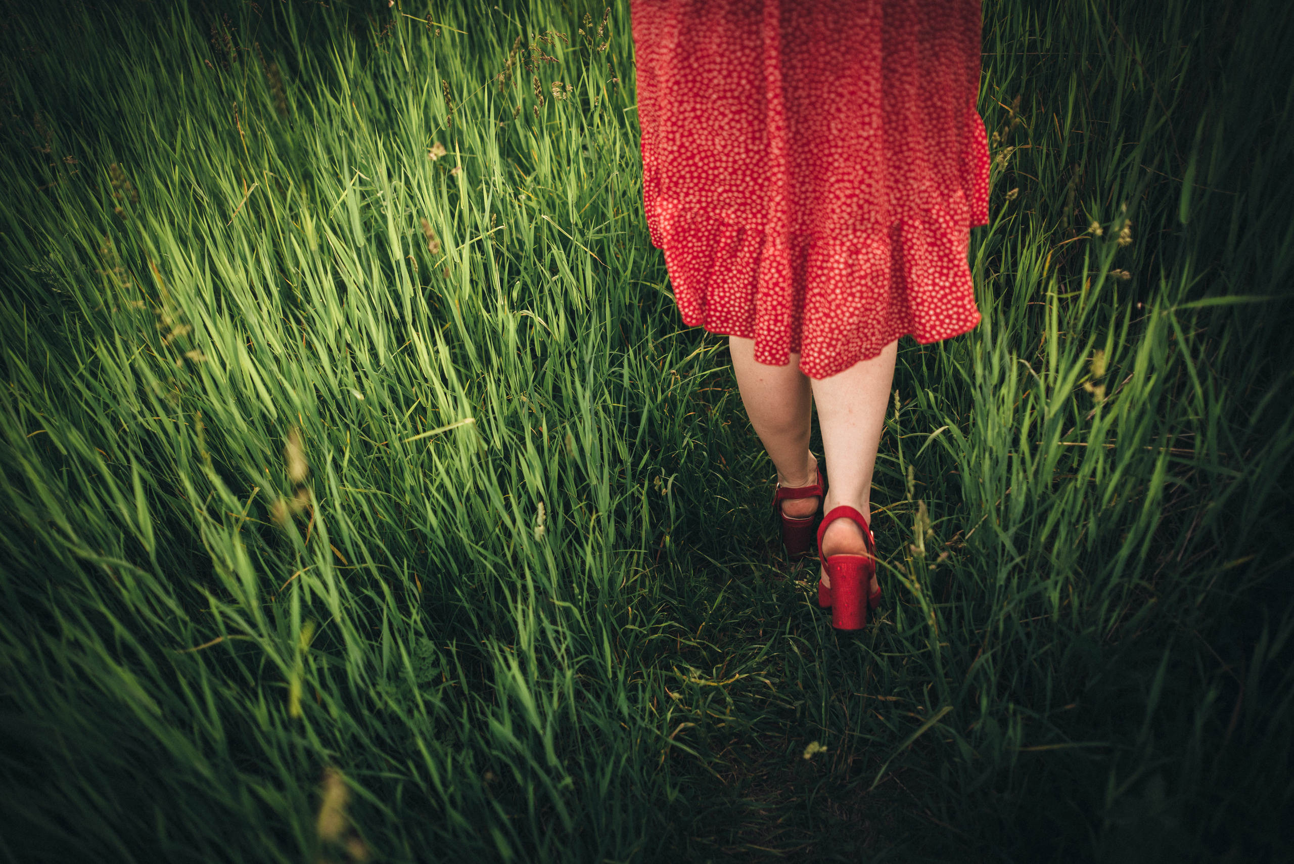 Юра та Діана, Ізяслав. Photographer Shepetivka, all over Ukraine, Dzekan Denys!