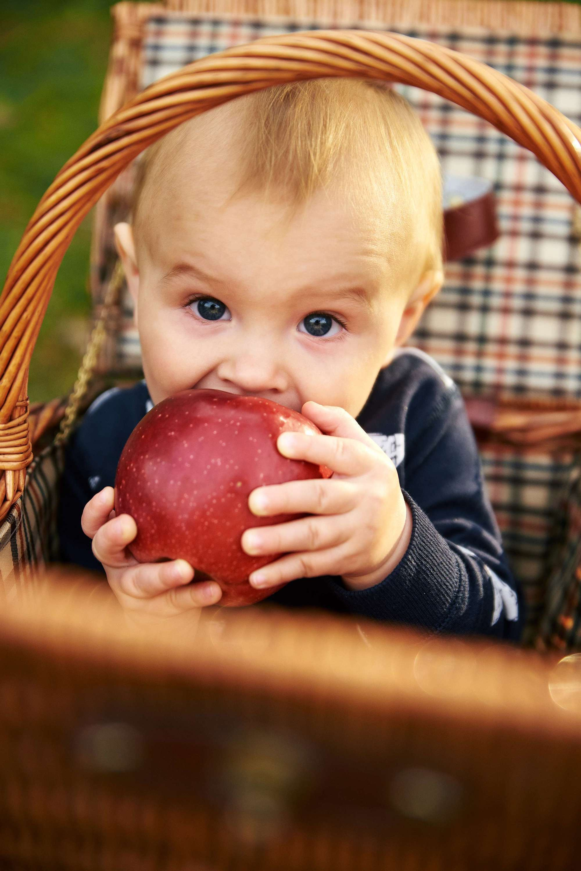 Сімейна прогулянка. Фотограф Шепетівка, вся Україна, Дзекан Денис!