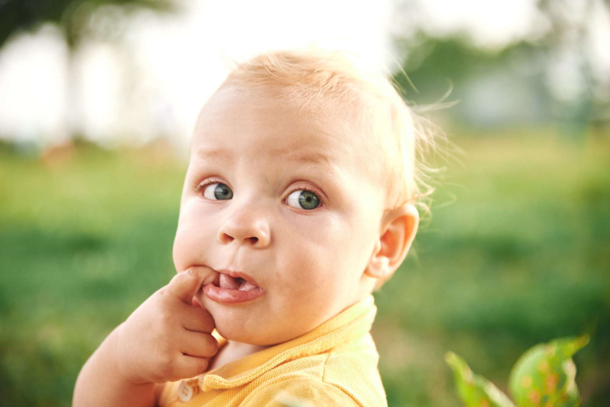 Надя+Рома (сімейна зйомка). Photographer Shepetivka, all over Ukraine, Dzekan Denys!