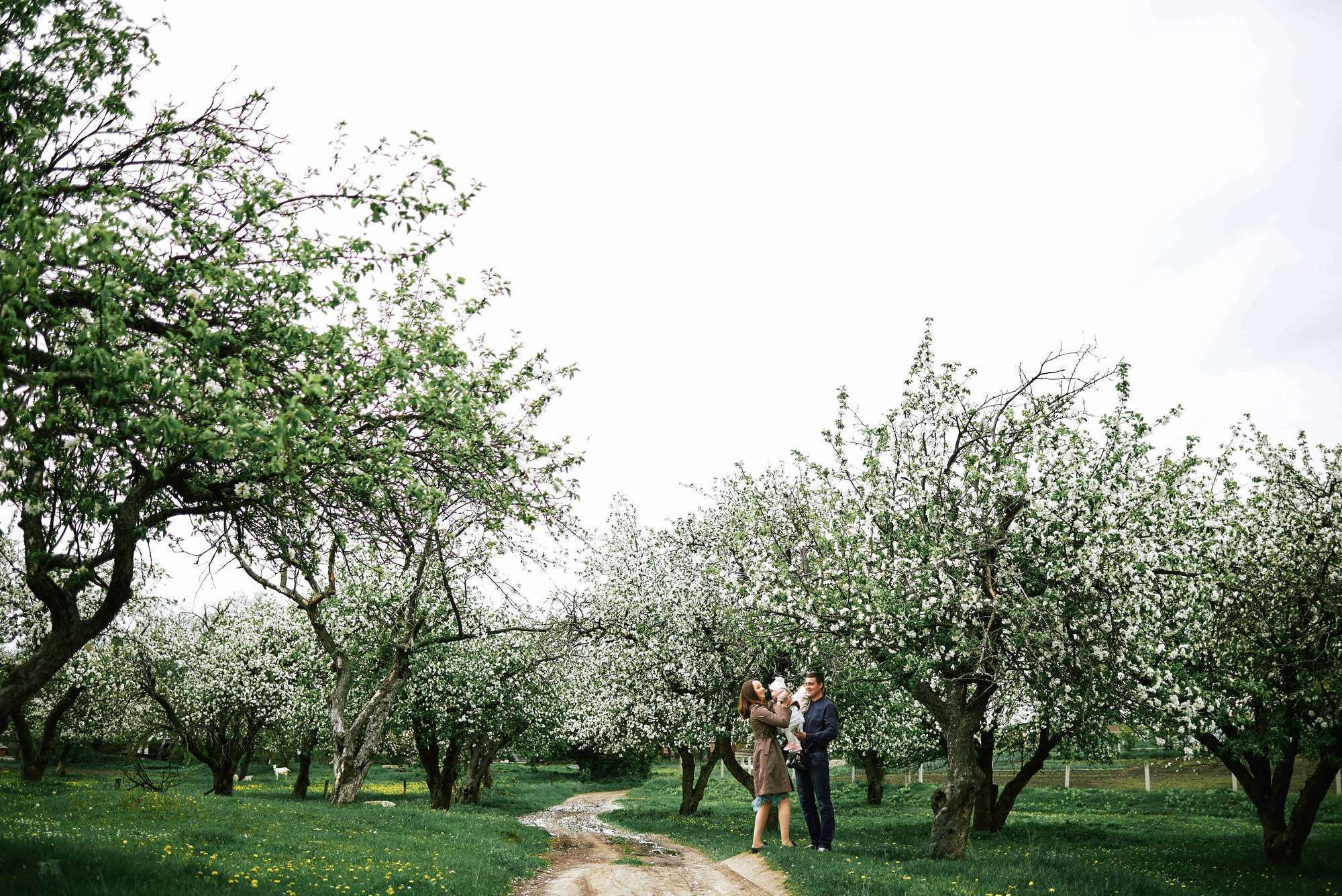 Квітучий садок. Фотограф Шепетівка, вся Україна, Дзекан Денис!