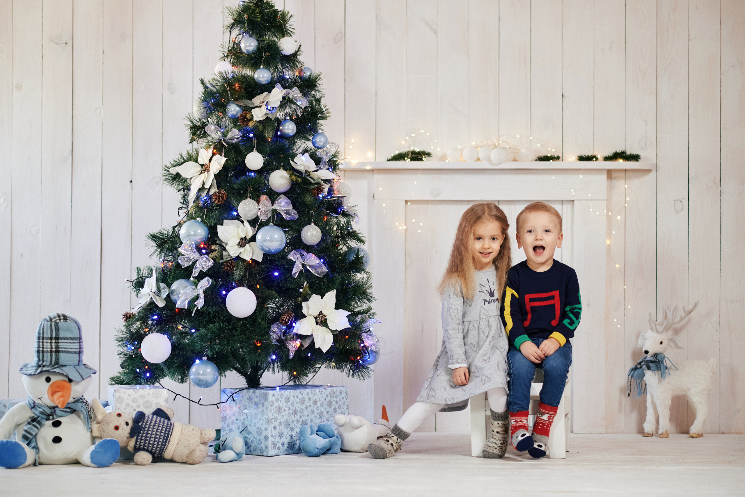 Новорічна, сімейна. Photographer Shepetivka, all over Ukraine, Dzekan Denys!