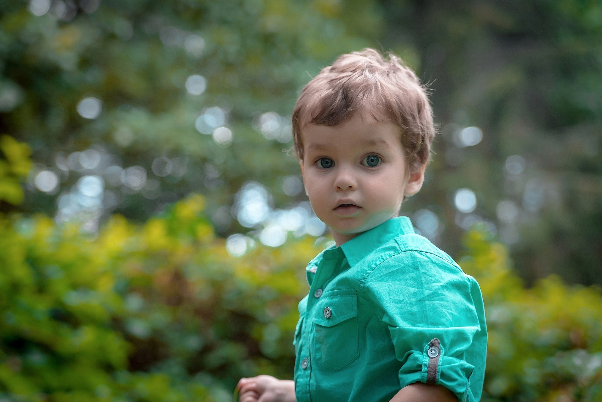 Парк, сімейна. Фотограф Шепетівка, вся Україна, Дзекан Денис!