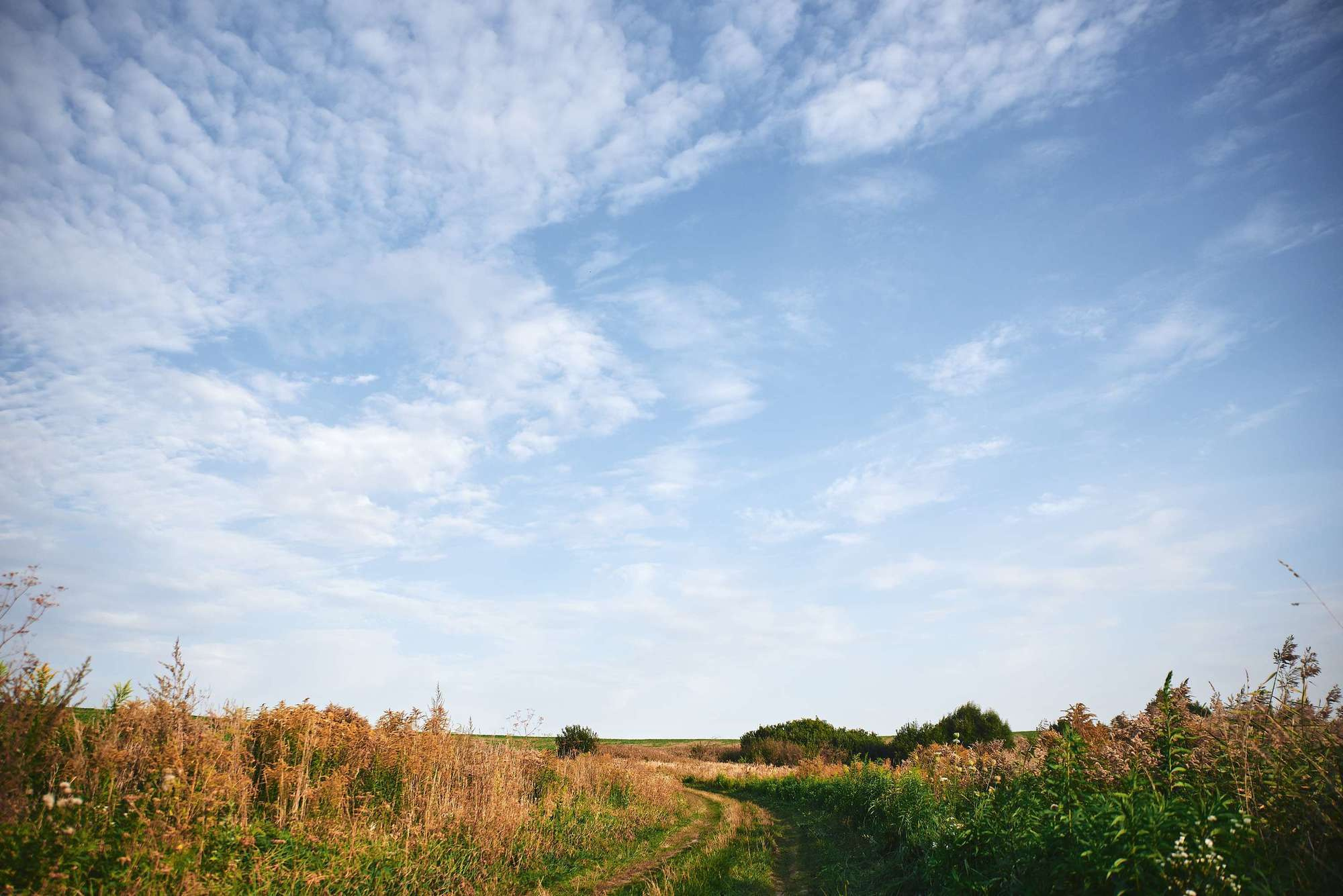 Надя+Рома (сімейна зйомка). Photographer Shepetivka, all over Ukraine, Dzekan Denys!