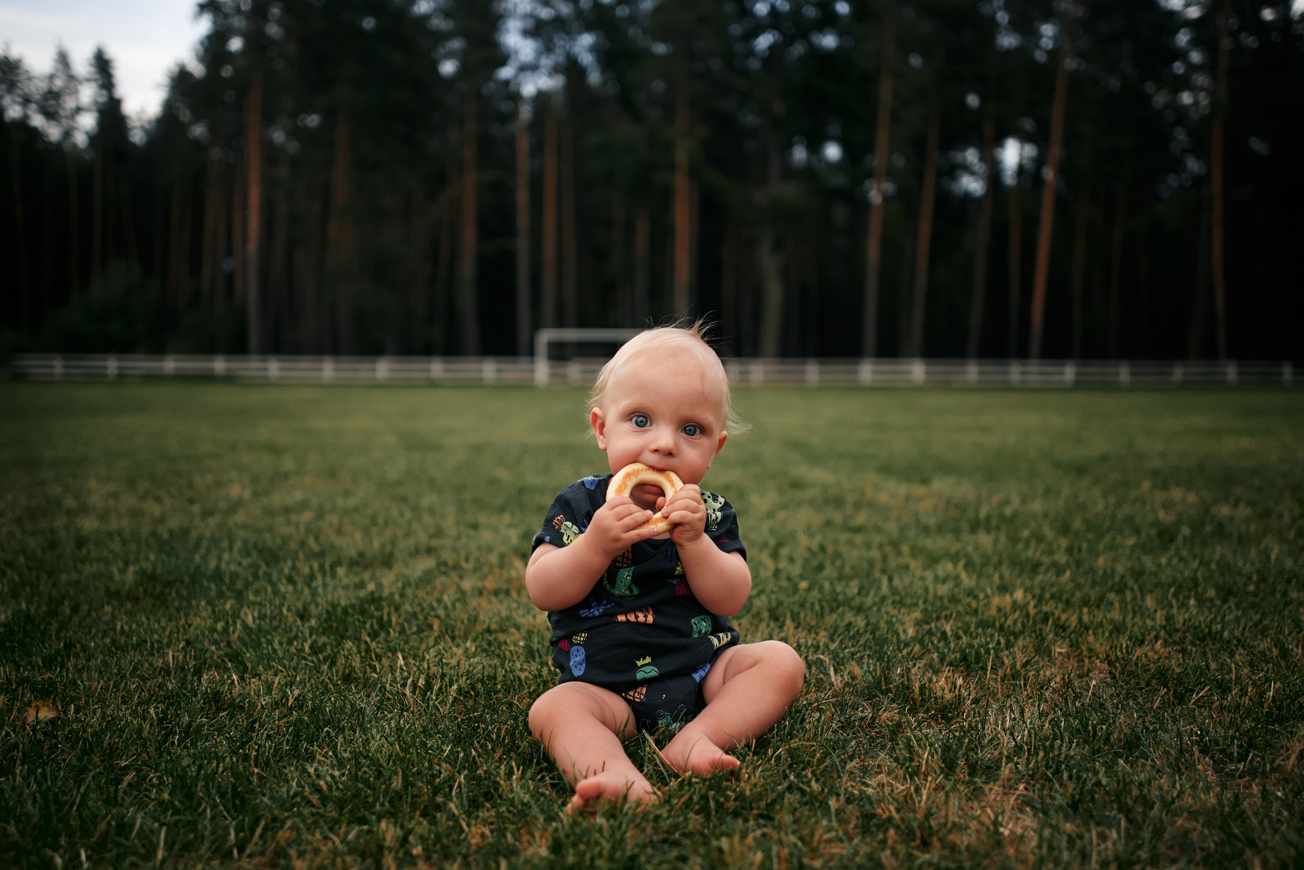 Сімейна прогулянка в сосновому лісі. Photographer Shepetivka, all over Ukraine, Dzekan Denys!