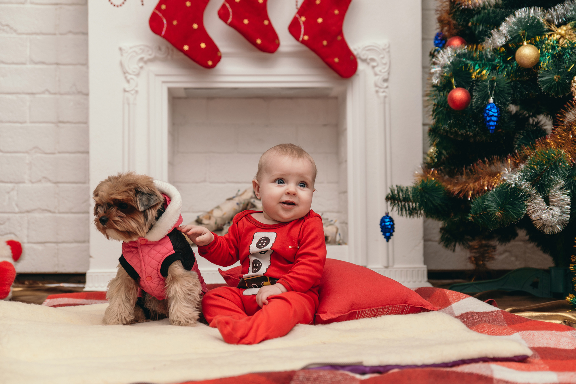 Сімейна, новорічна. Photographer Shepetivka, all over Ukraine, Dzekan Denys!