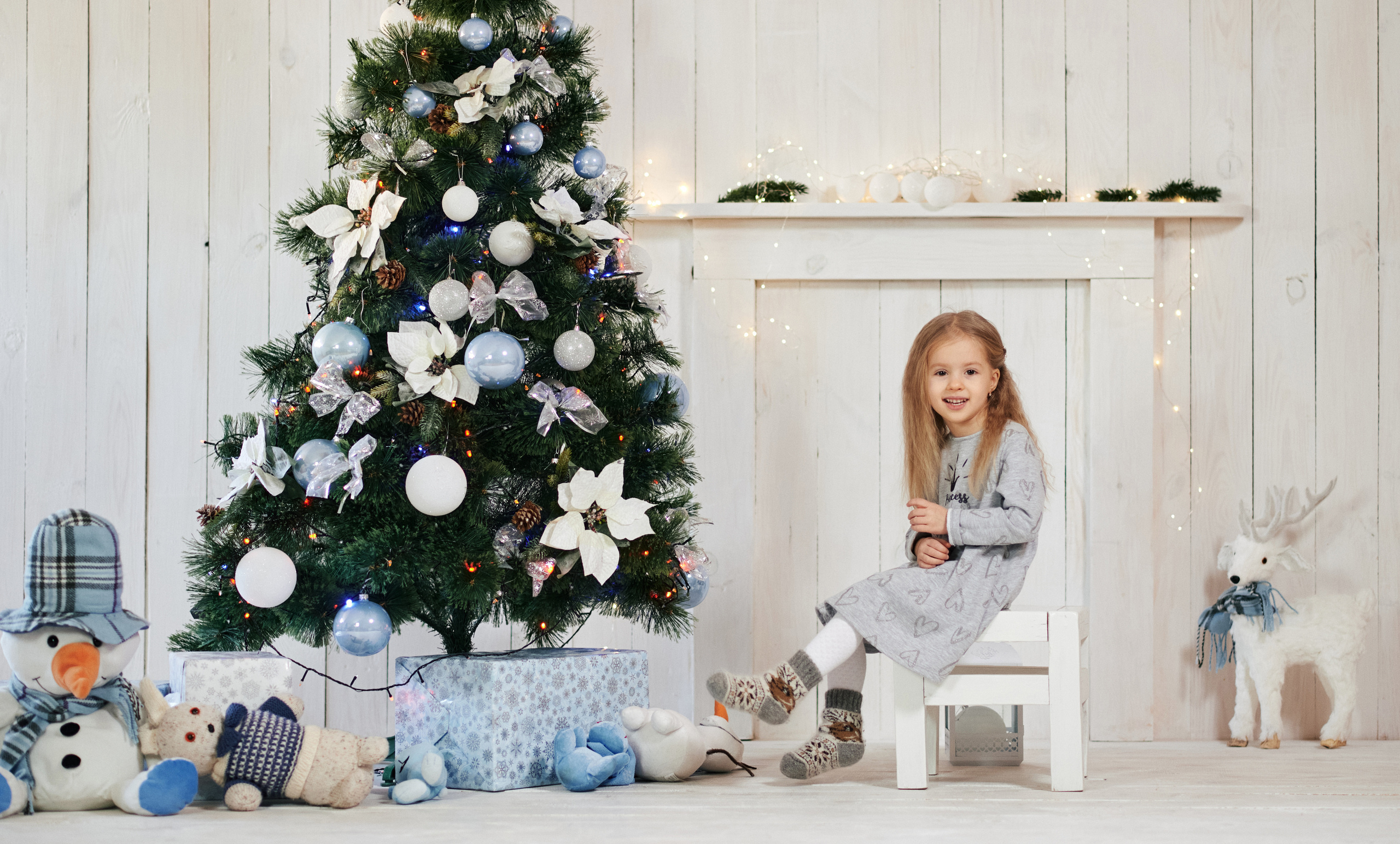 Новорічна, сімейна. Photographer Shepetivka, all over Ukraine, Dzekan Denys!