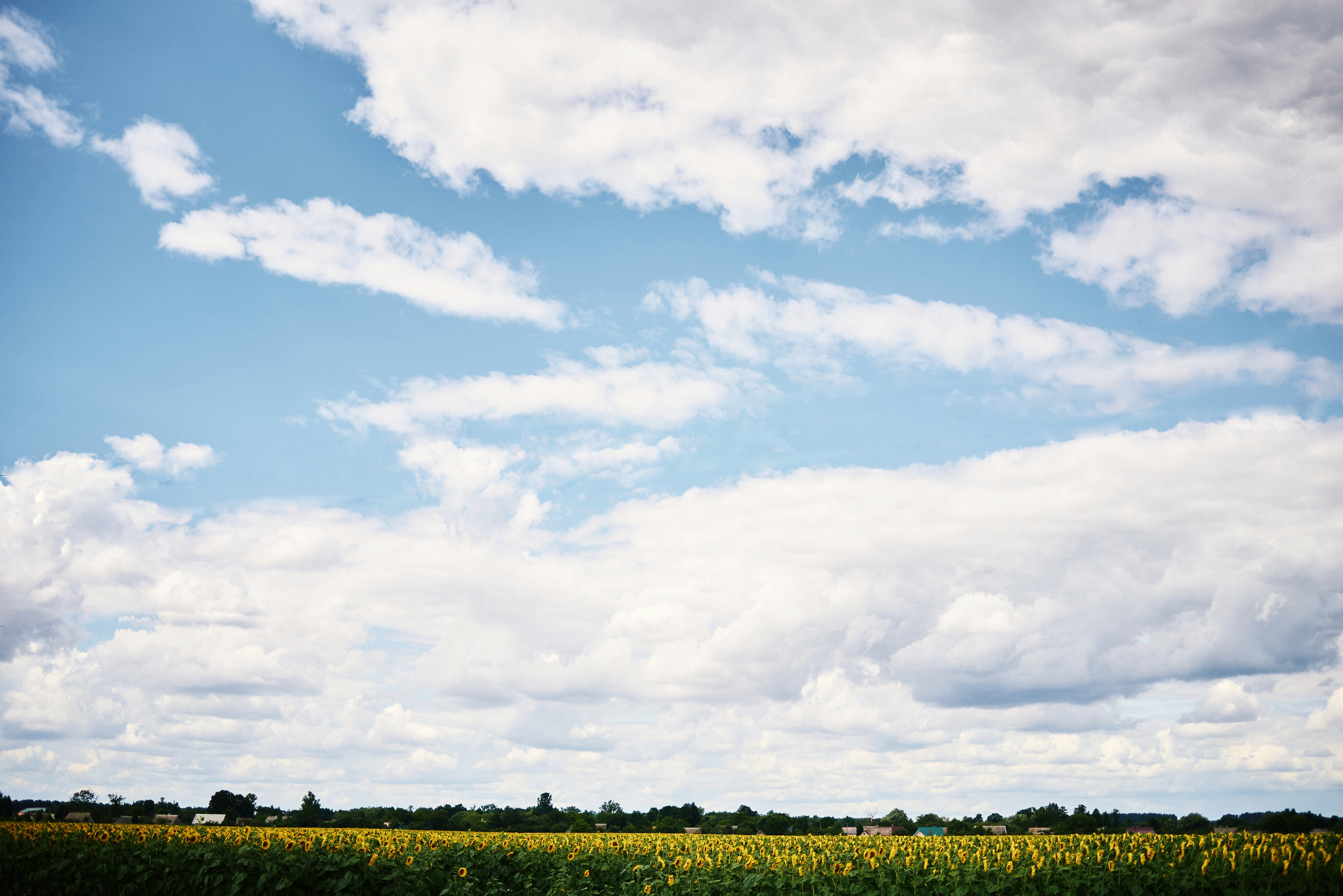 Діма & Вікторія. Дозйомка, Славута, Нетішин. Фотограф Шепетівка, вся Україна, Дзекан Денис!