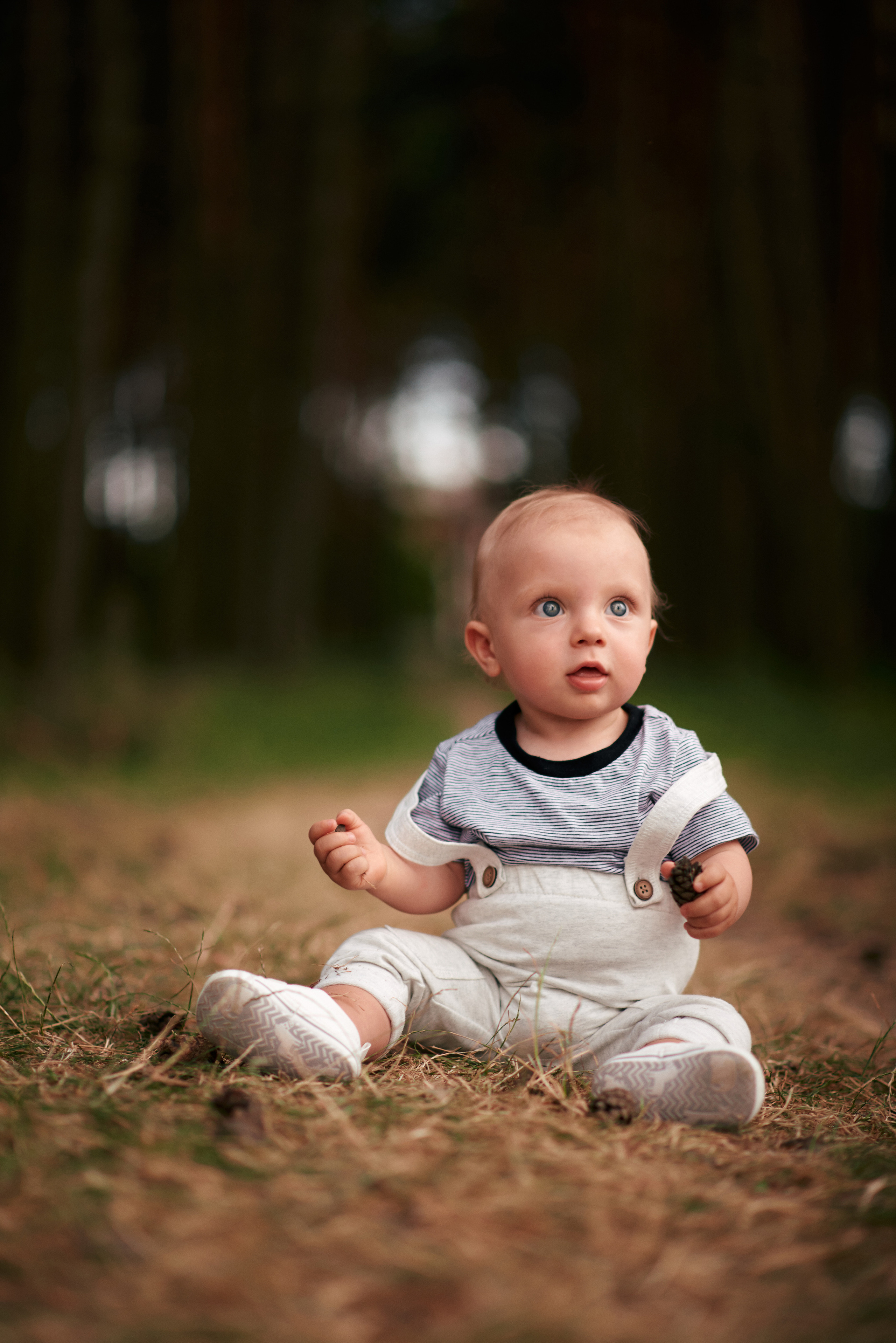 Сімейна прогулянка в сосновому лісі. Photographer Shepetivka, all over Ukraine, Dzekan Denys!