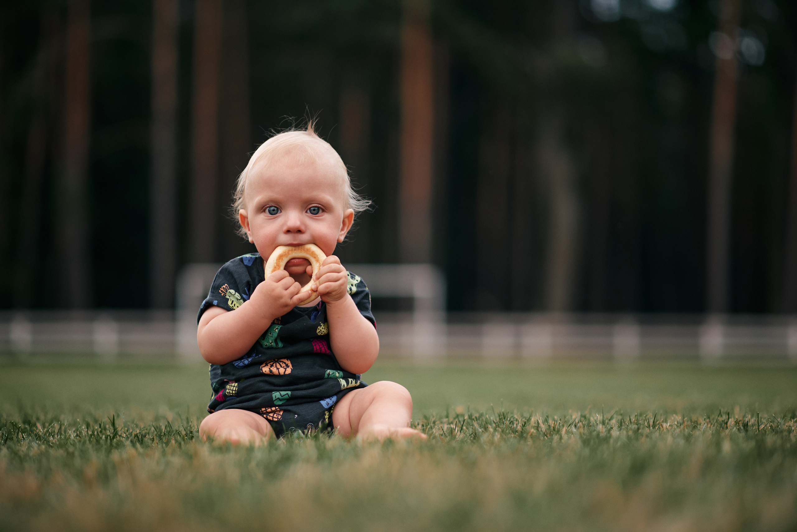 Сімейна прогулянка в сосновому лісі. Photographer Shepetivka, all over Ukraine, Dzekan Denys!