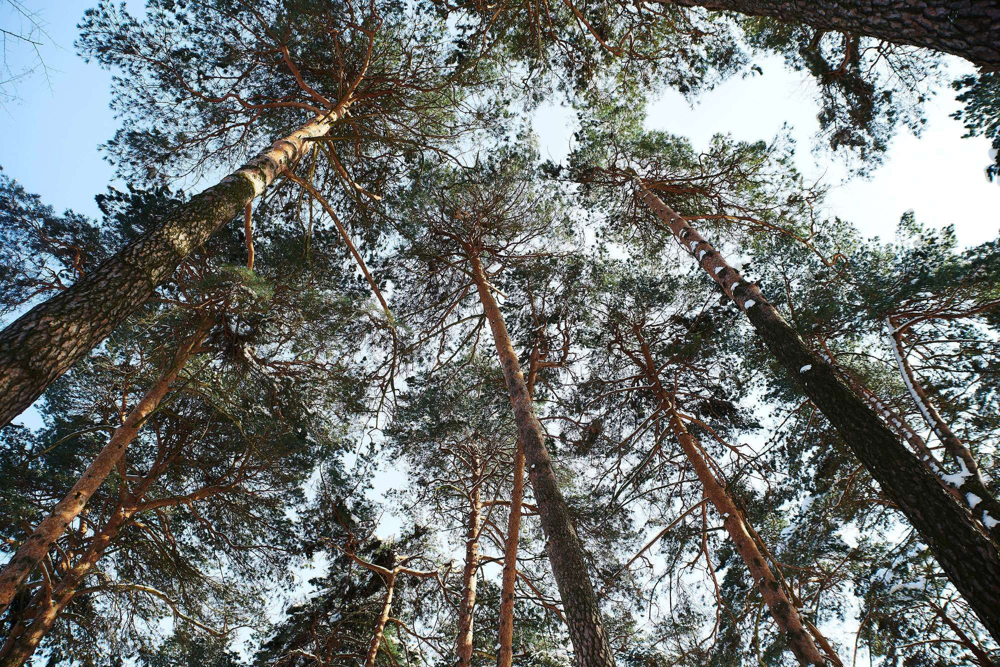 Зимова прогулянка. Фотограф Шепетівка, вся Україна, Дзекан Денис!