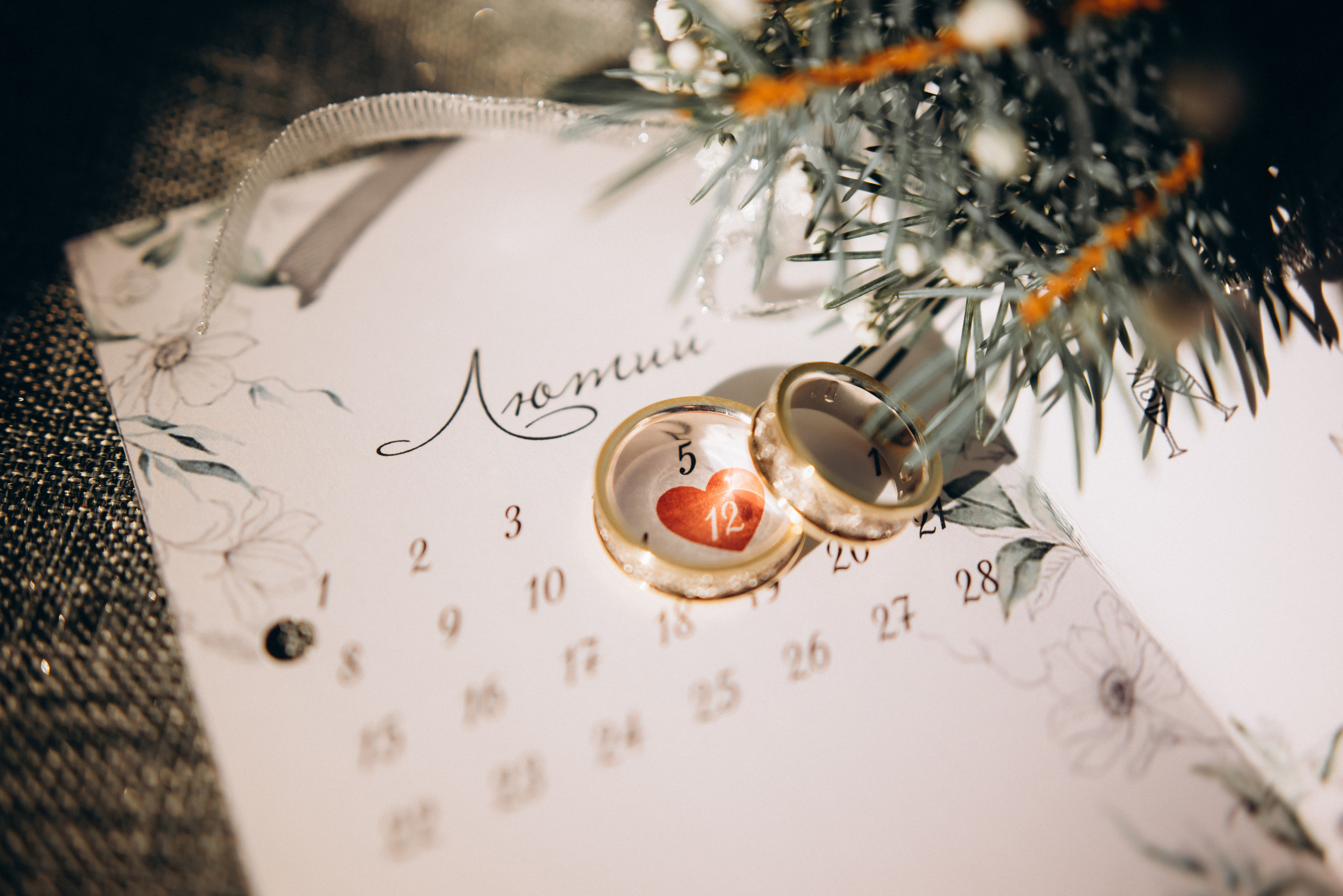 Віталій & Вікторія. 12лютого21. Клубівка. Боварія. Фотограф Шепетівка, вся Україна, Дзекан Денис!