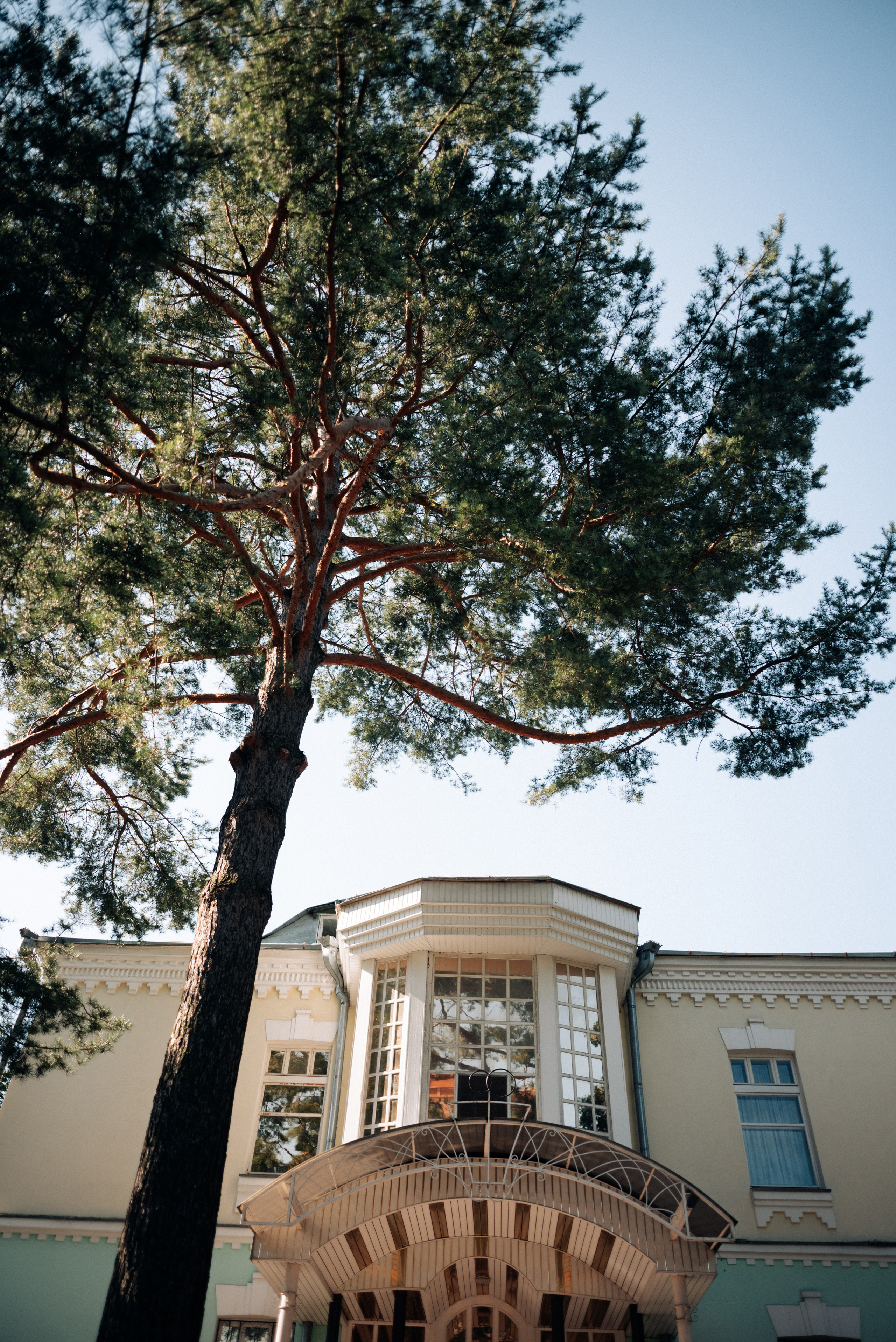 Олексій та Світлана. 8.08.2020. фотограф весілля Хмельницький. Фотограф Шепетівка, вся Україна, Дзекан Денис!