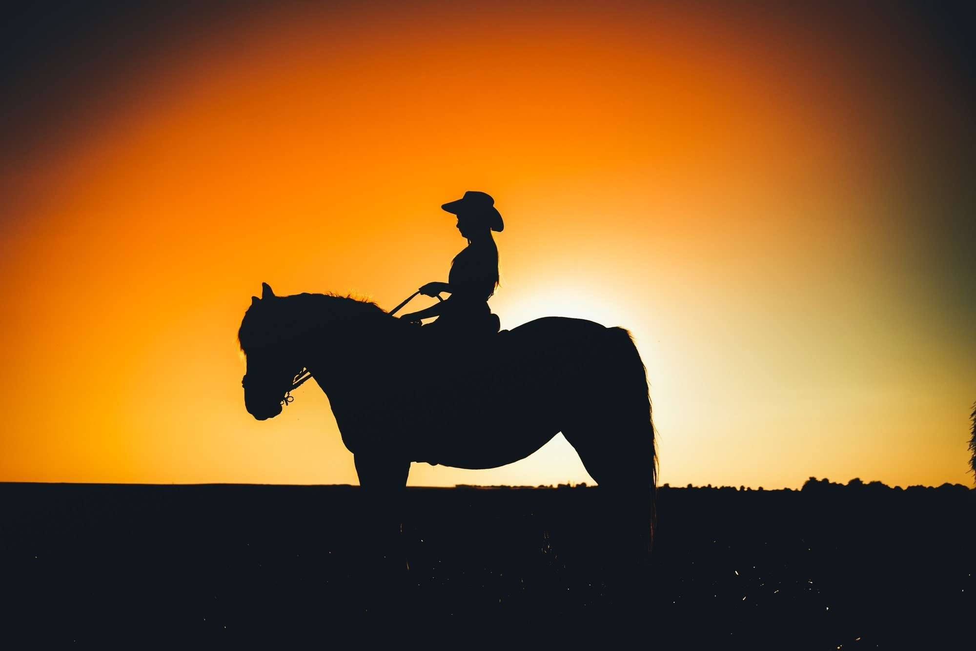 Дівич-вечір. Photographer Shepetivka, all over Ukraine, Dzekan Denys!