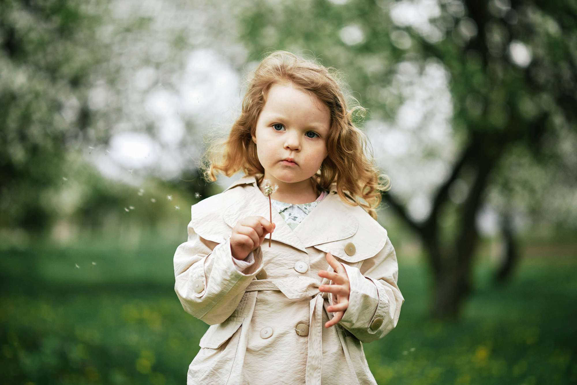 Квітучий садок. Фотограф Шепетівка, вся Україна, Дзекан Денис!