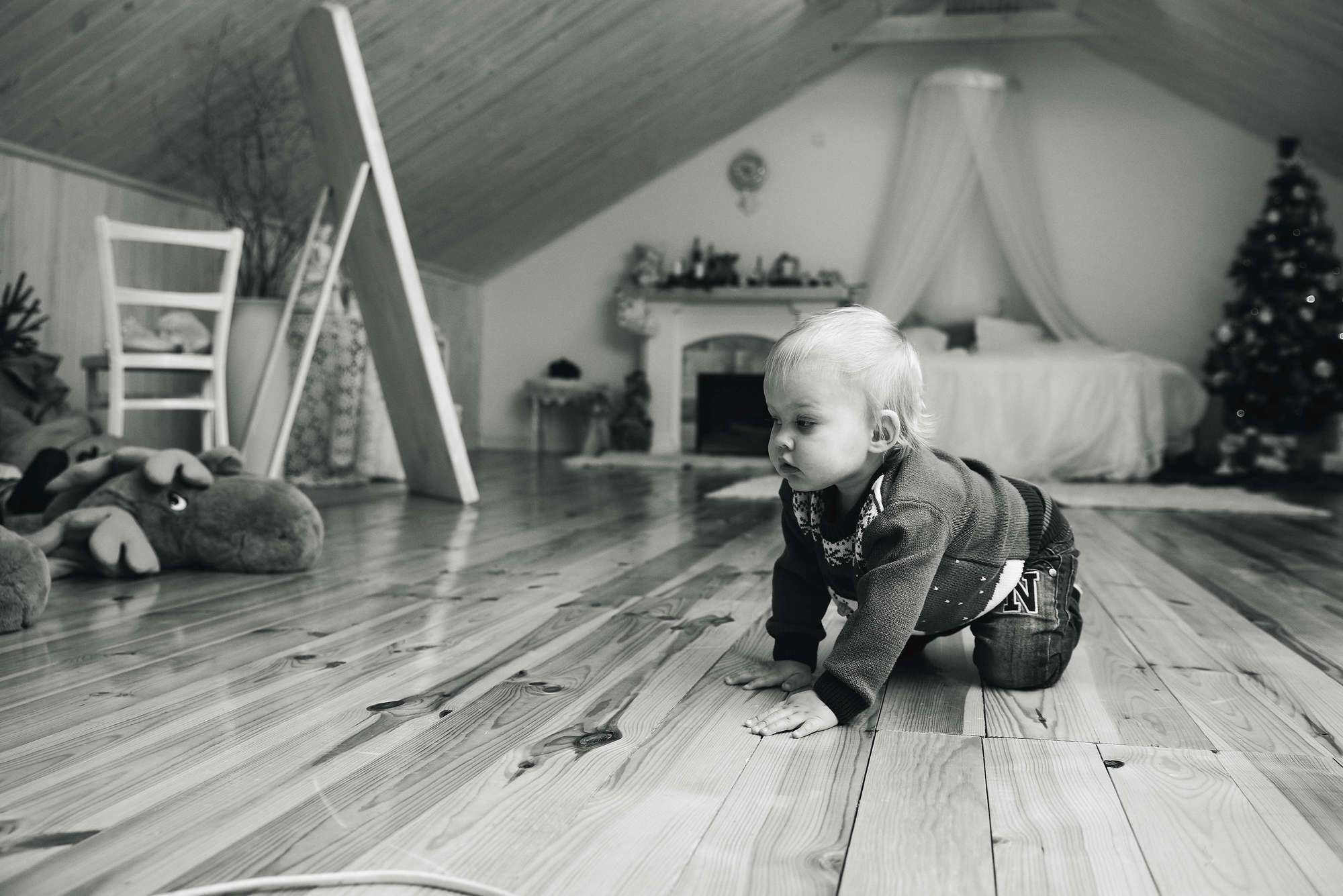 Новорічна зйомка у студії Family. Photographer Shepetivka, all over Ukraine, Dzekan Denys!