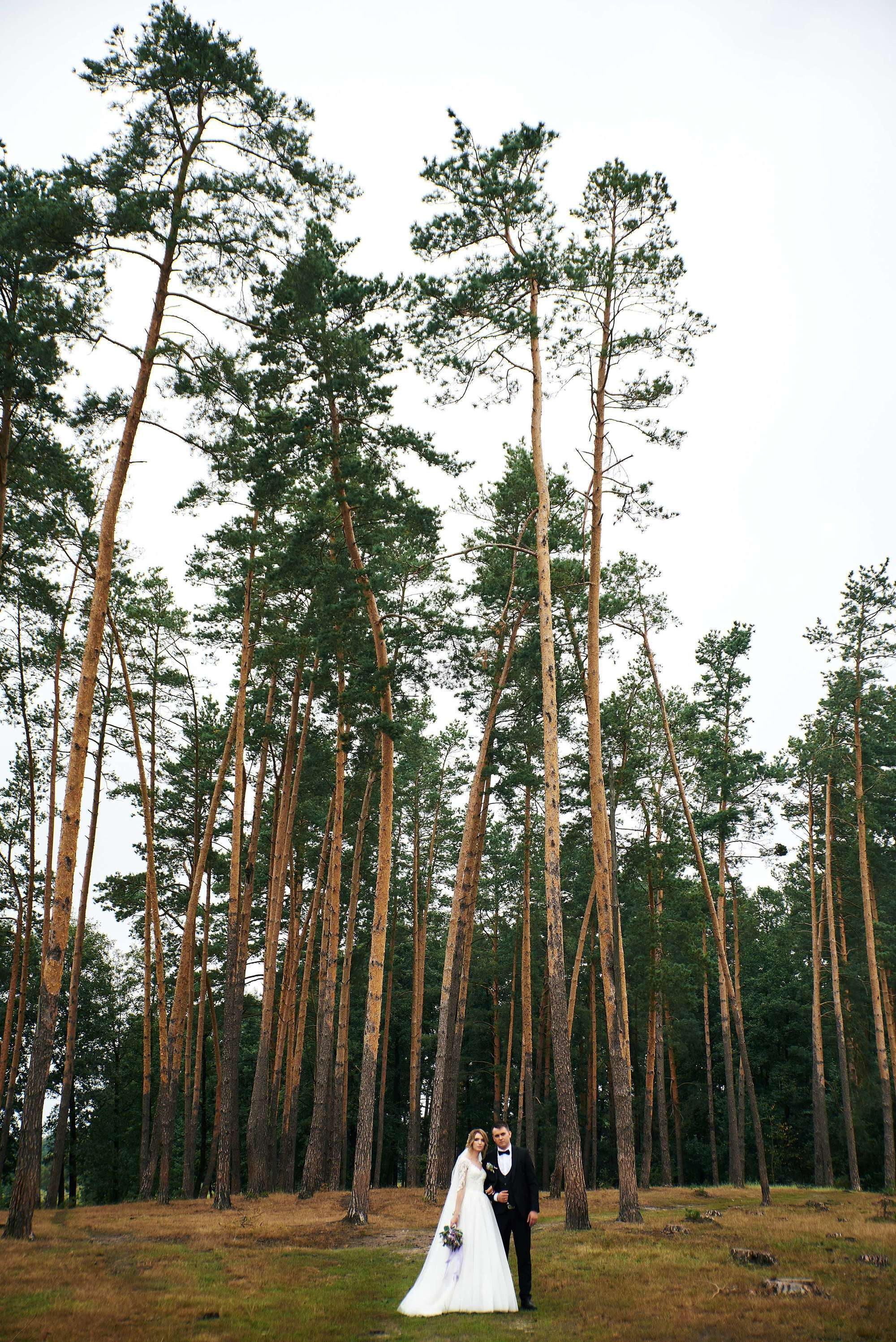 Максим & Маріна, фотограф шепетовка, фотограф пліщин, весільне плаття,. Фотограф Шепетівка, вся Україна, Дзекан Денис!