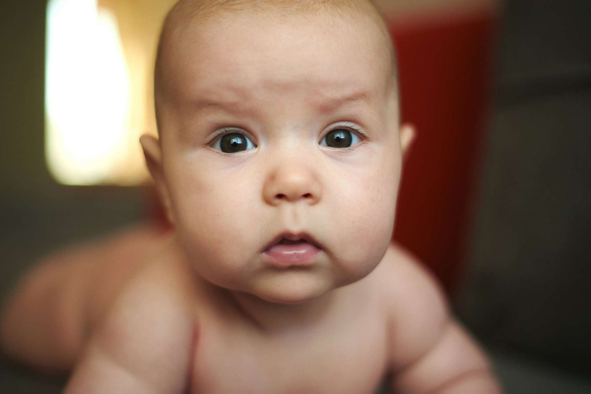 Сімейний ранок. Photographer Shepetivka, all over Ukraine, Dzekan Denys!