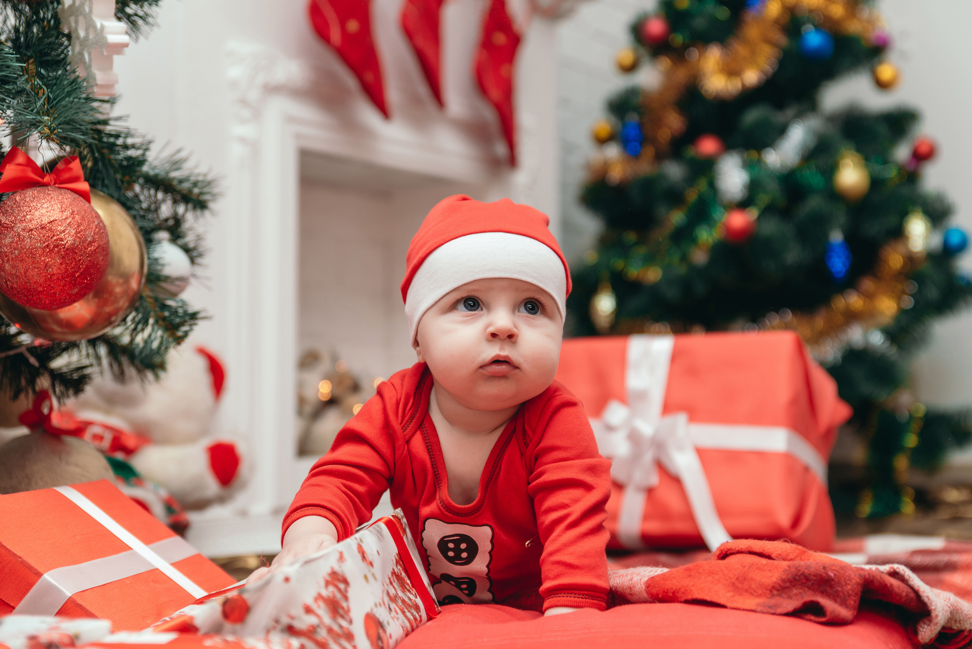 Сімейна, новорічна. Photographer Shepetivka, all over Ukraine, Dzekan Denys!