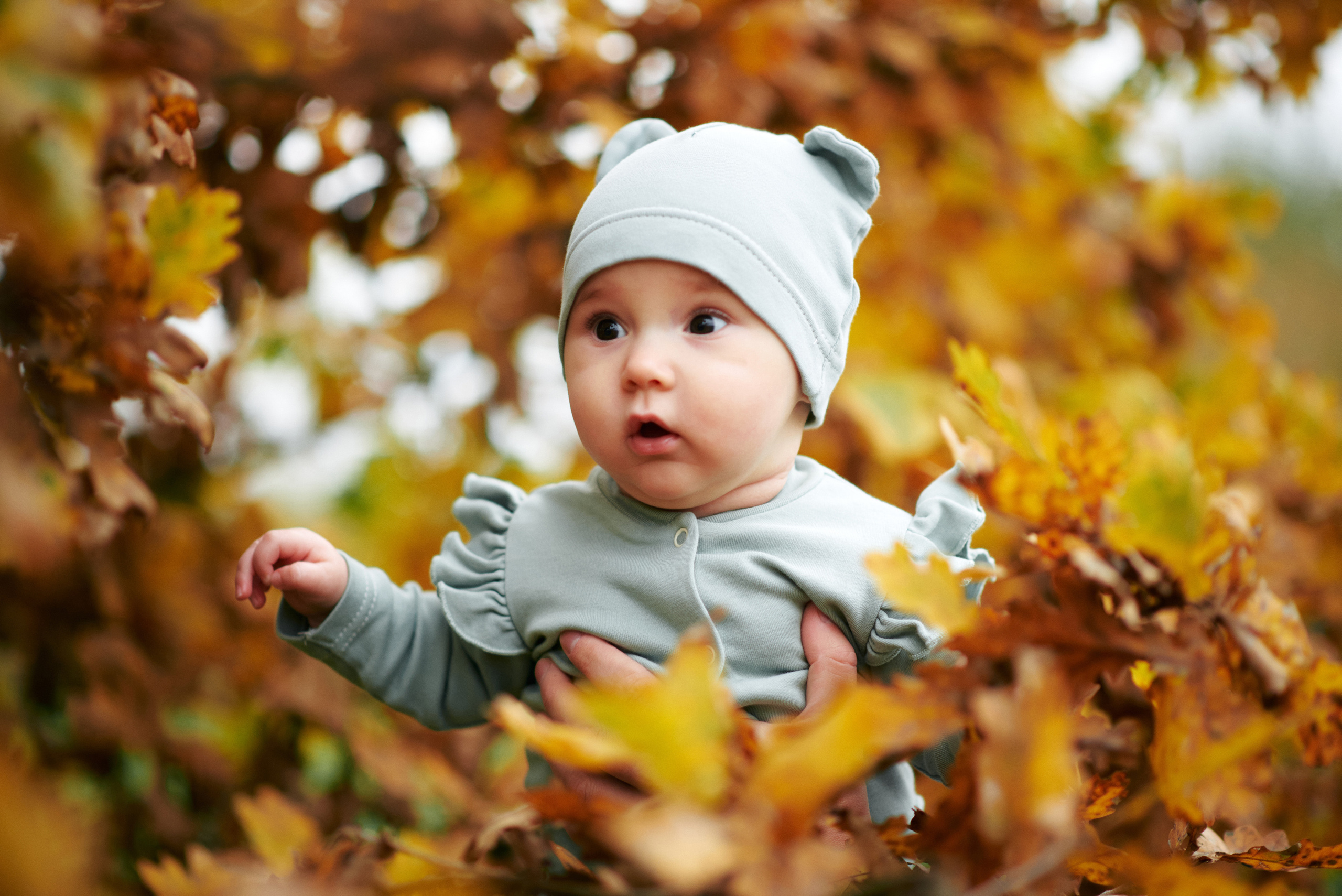 Віталік & Яна. Photographer Shepetivka, all over Ukraine, Dzekan Denys!