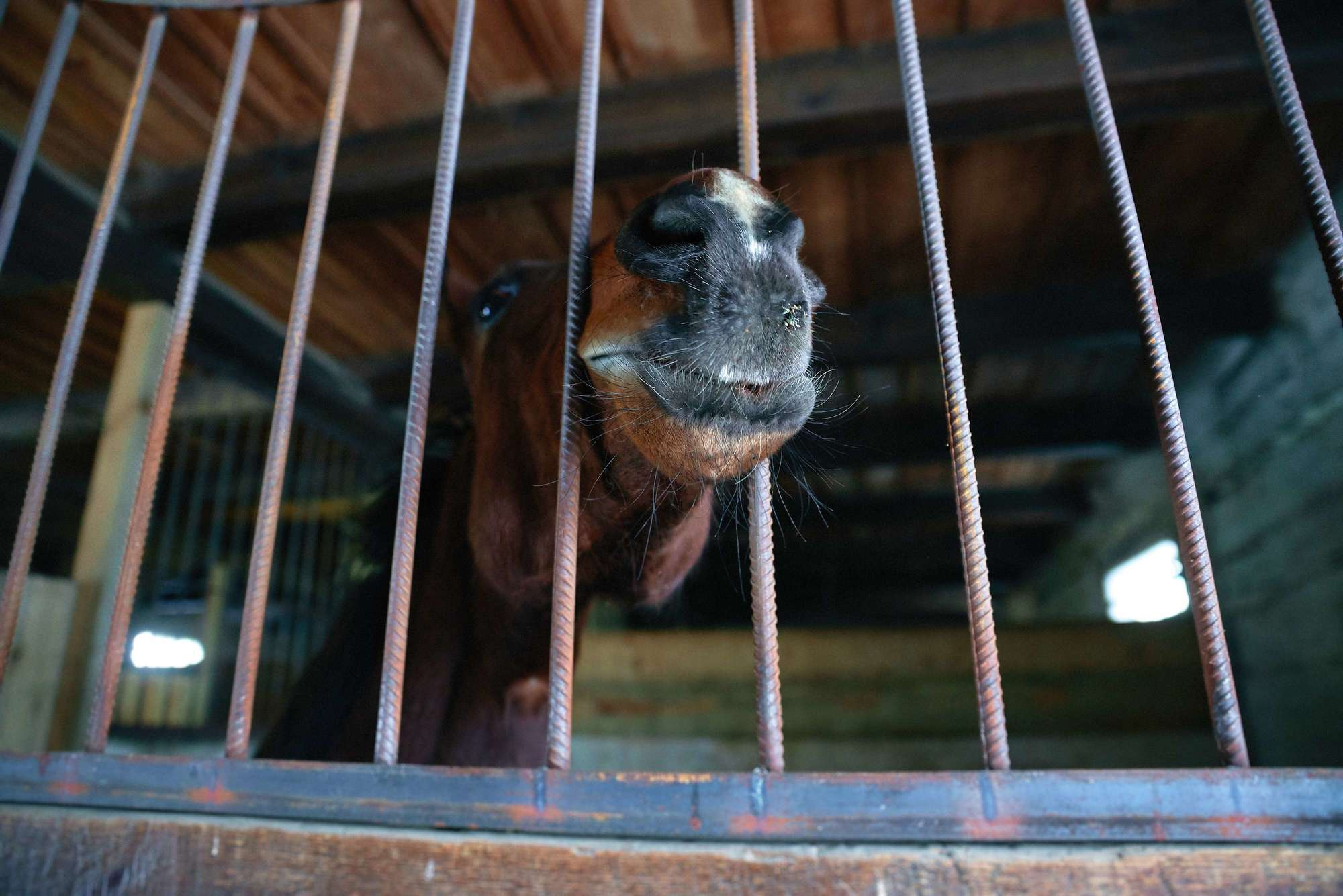 Паша + Даша. Photographer Shepetivka, all over Ukraine, Dzekan Denys!