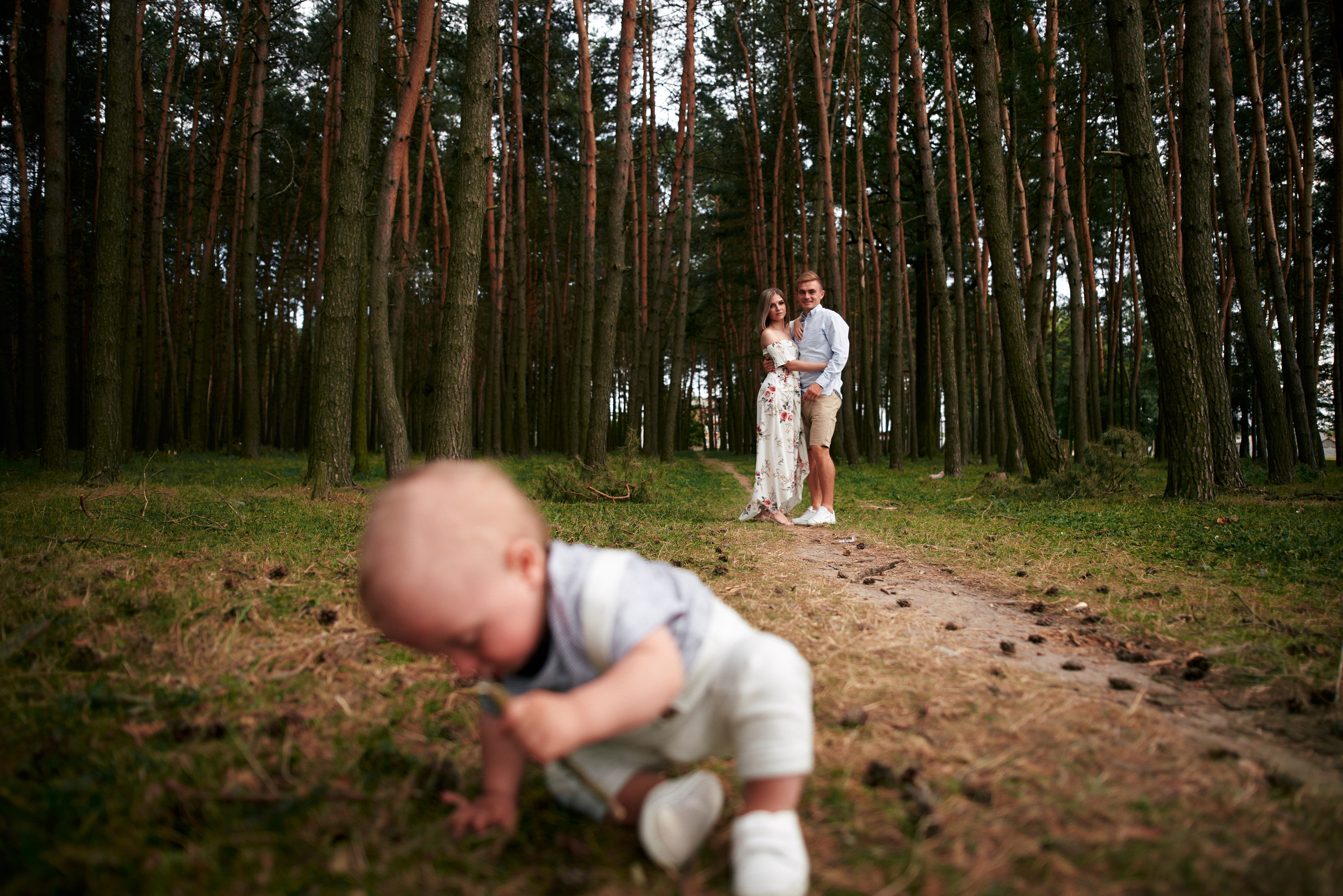 Сімейна прогулянка в сосновому лісі. Photographer Shepetivka, all over Ukraine, Dzekan Denys!
