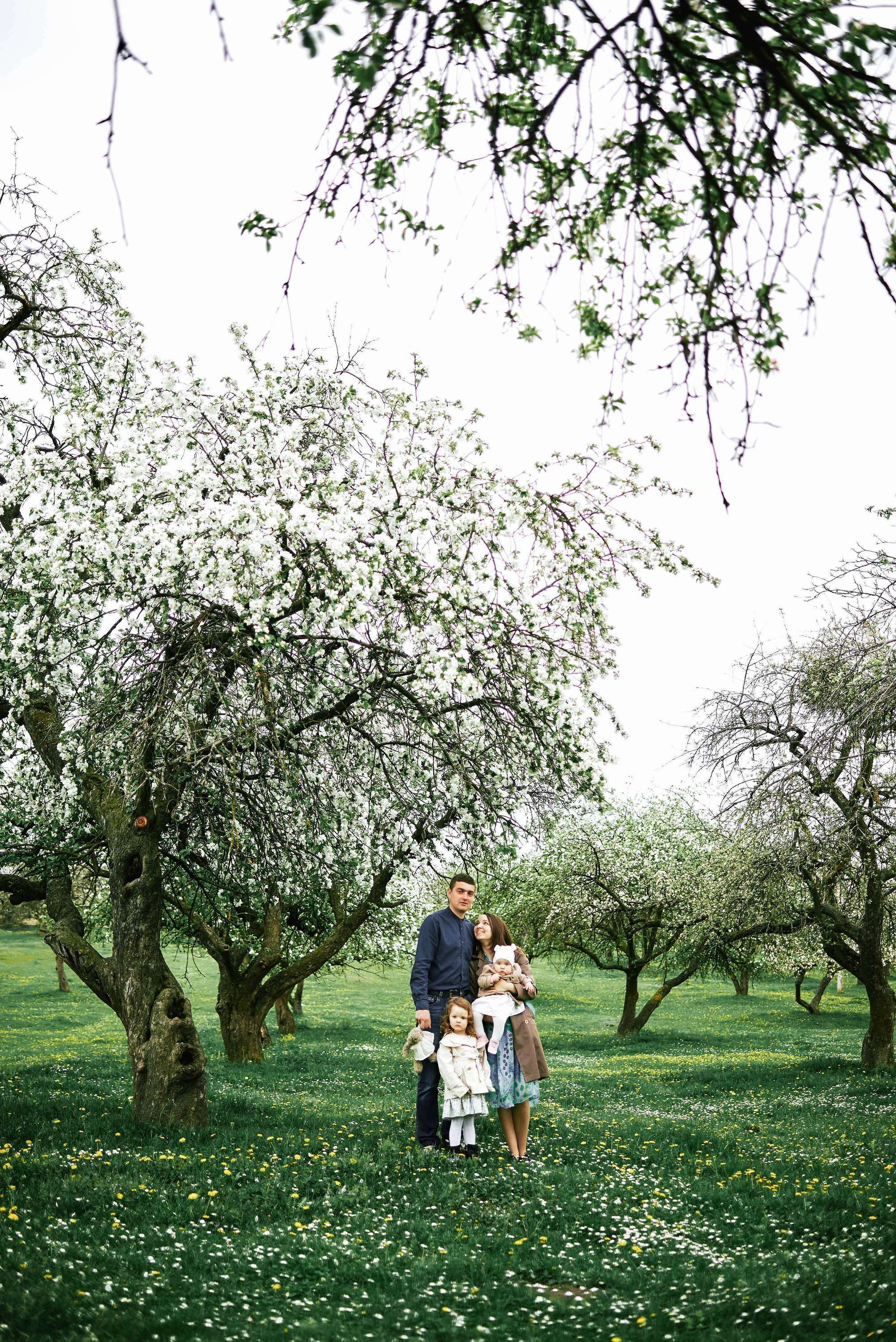 Квітучий садок. Фотограф Шепетівка, вся Україна, Дзекан Денис!