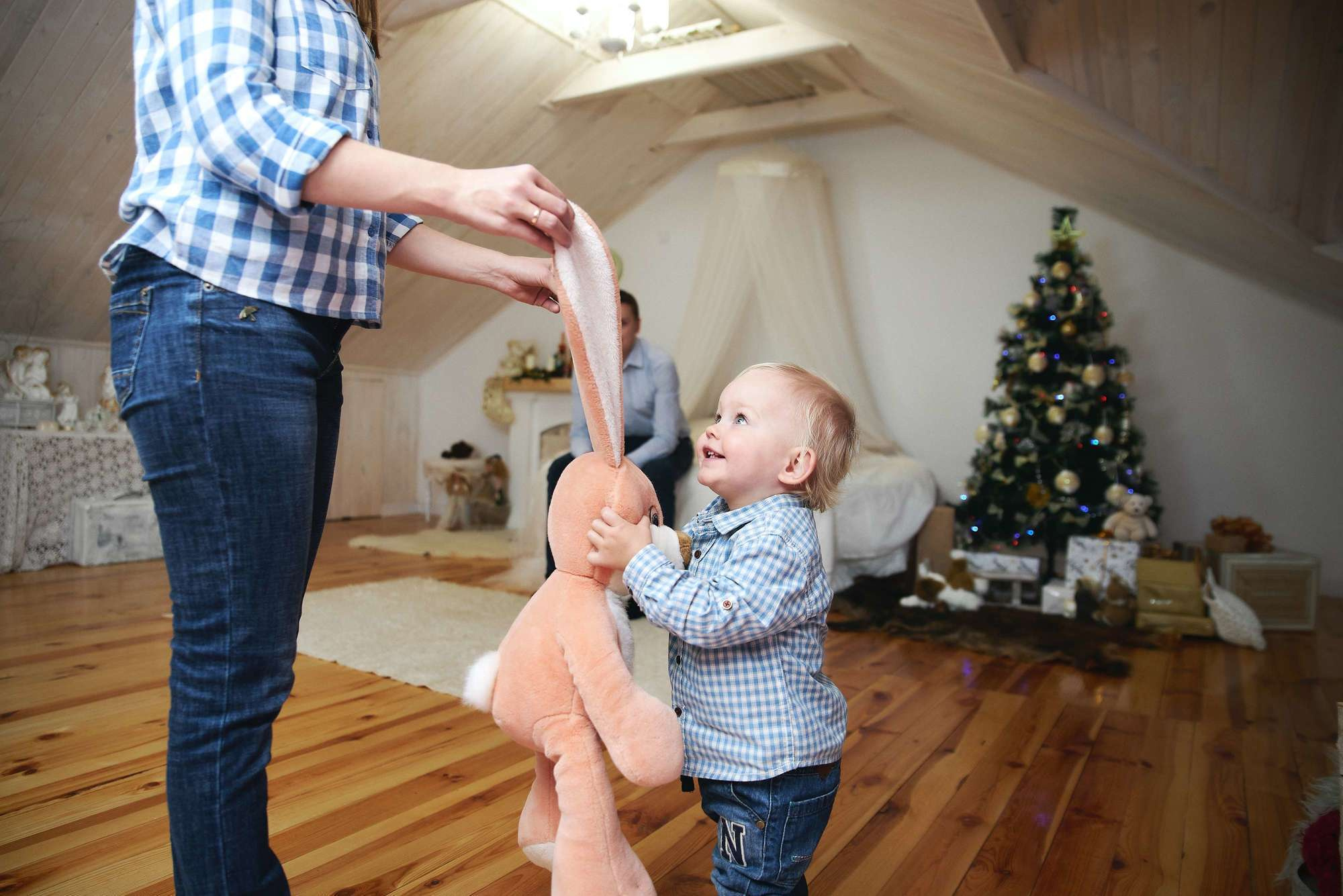 Новорічна зйомка у студії Family. Photographer Shepetivka, all over Ukraine, Dzekan Denys!