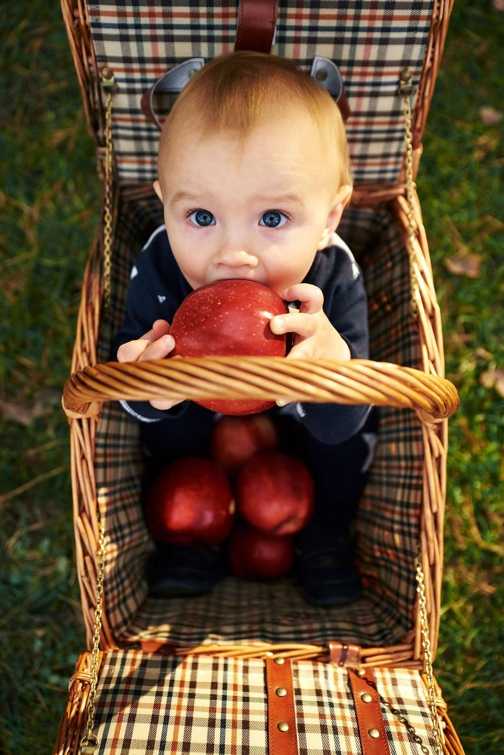 Сімейна прогулянка. Фотограф Шепетівка, вся Україна, Дзекан Денис!