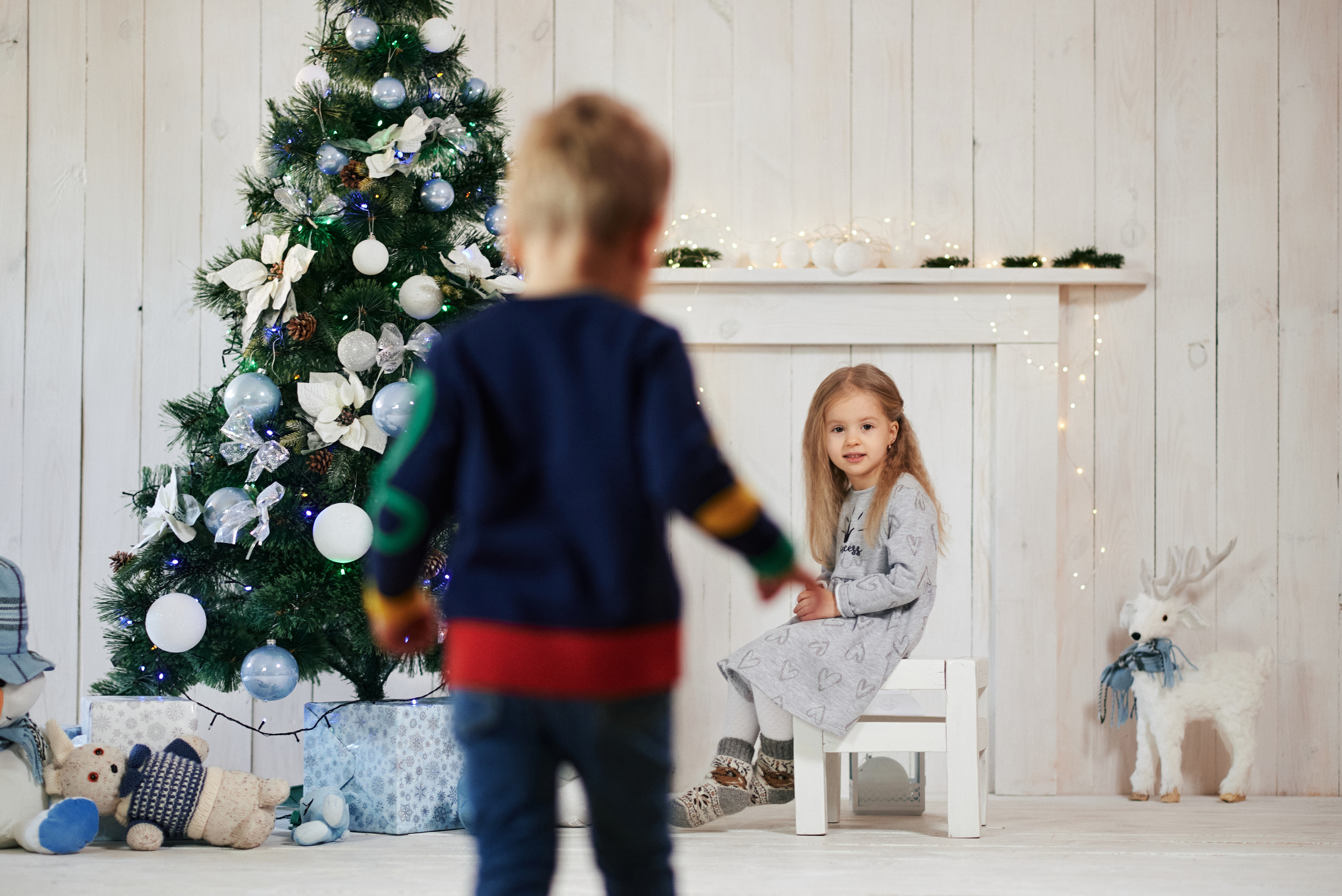 Новорічна, сімейна. Photographer Shepetivka, all over Ukraine, Dzekan Denys!