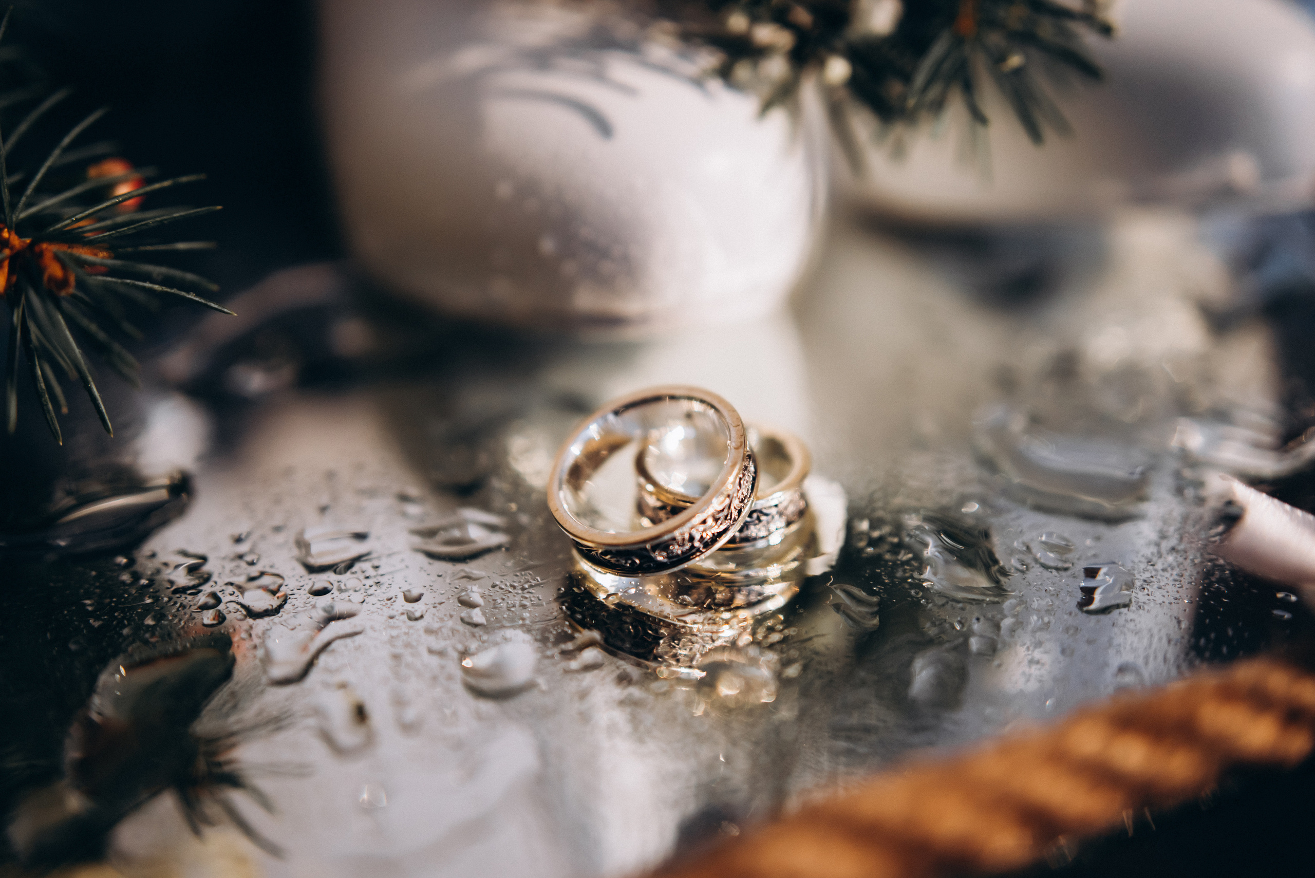 Віталій & Вікторія. 12лютого21. Клубівка. Боварія. Фотограф Шепетівка, вся Україна, Дзекан Денис!