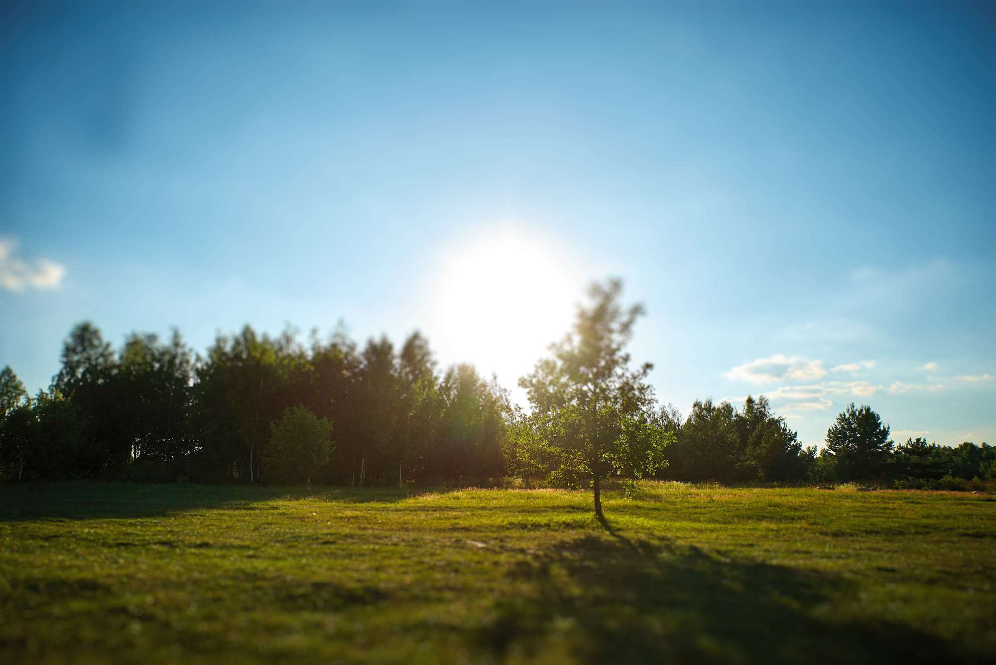 Олександр+Вікторія. Фотограф Шепетівка, вся Україна, Дзекан Денис!