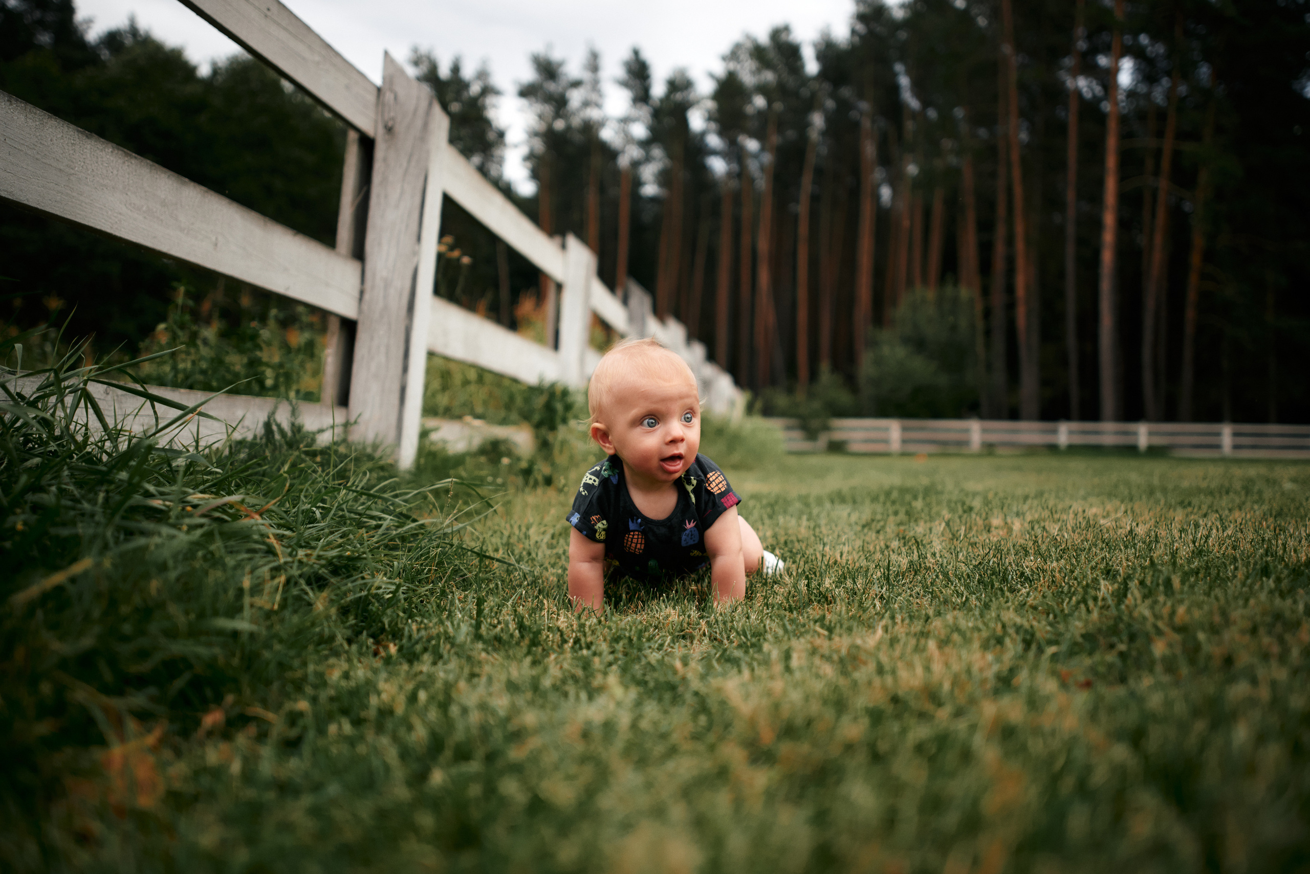 Сімейна прогулянка в сосновому лісі. Photographer Shepetivka, all over Ukraine, Dzekan Denys!