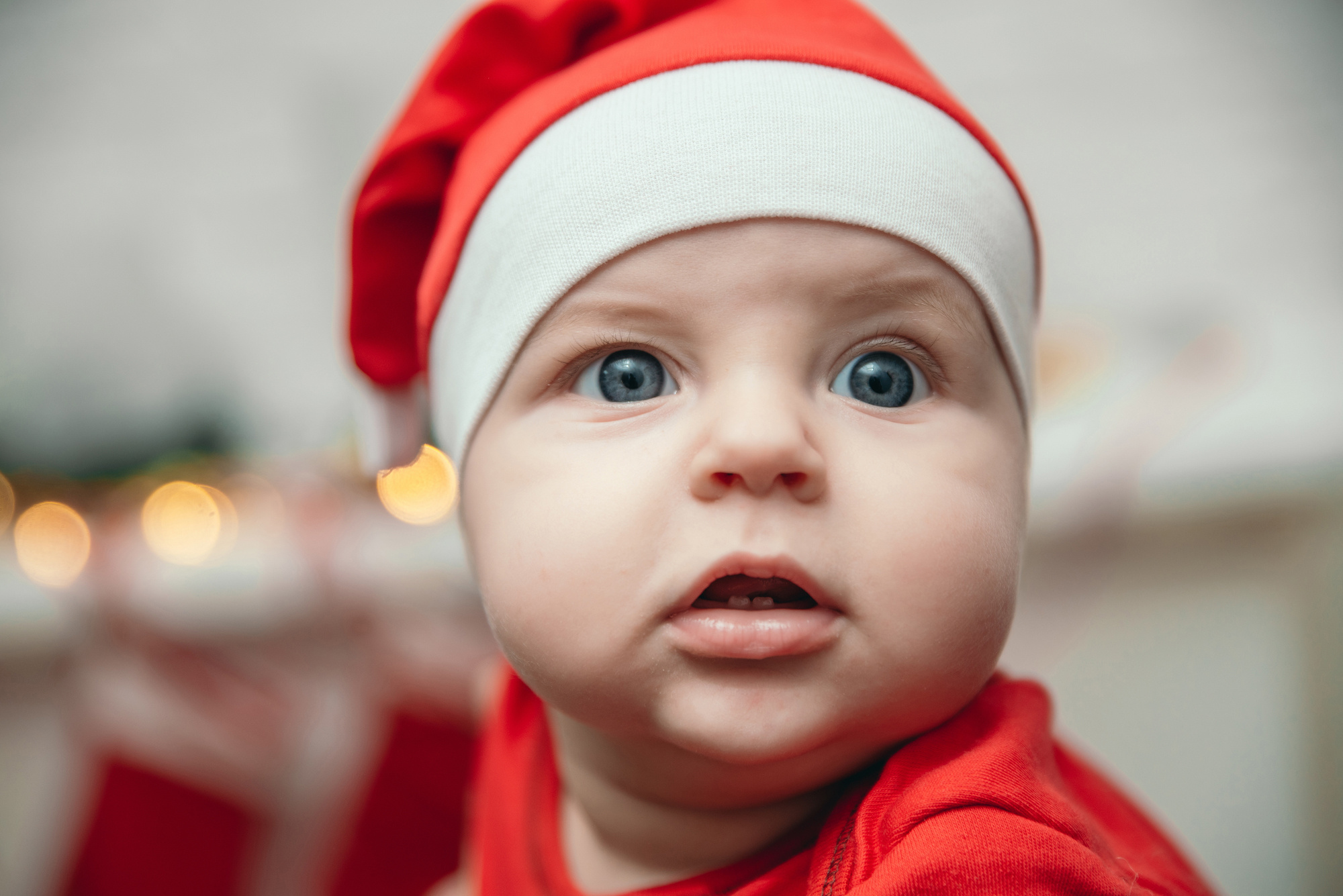 Сімейна, новорічна. Photographer Shepetivka, all over Ukraine, Dzekan Denys!