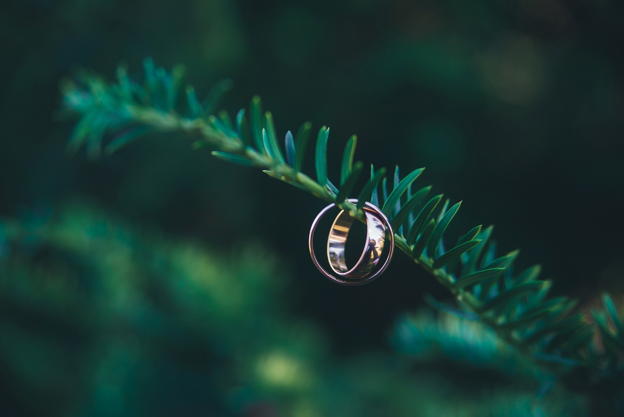 Діма+Надін. Шепетівка. Photographer Shepetivka, all over Ukraine, Dzekan Denys!