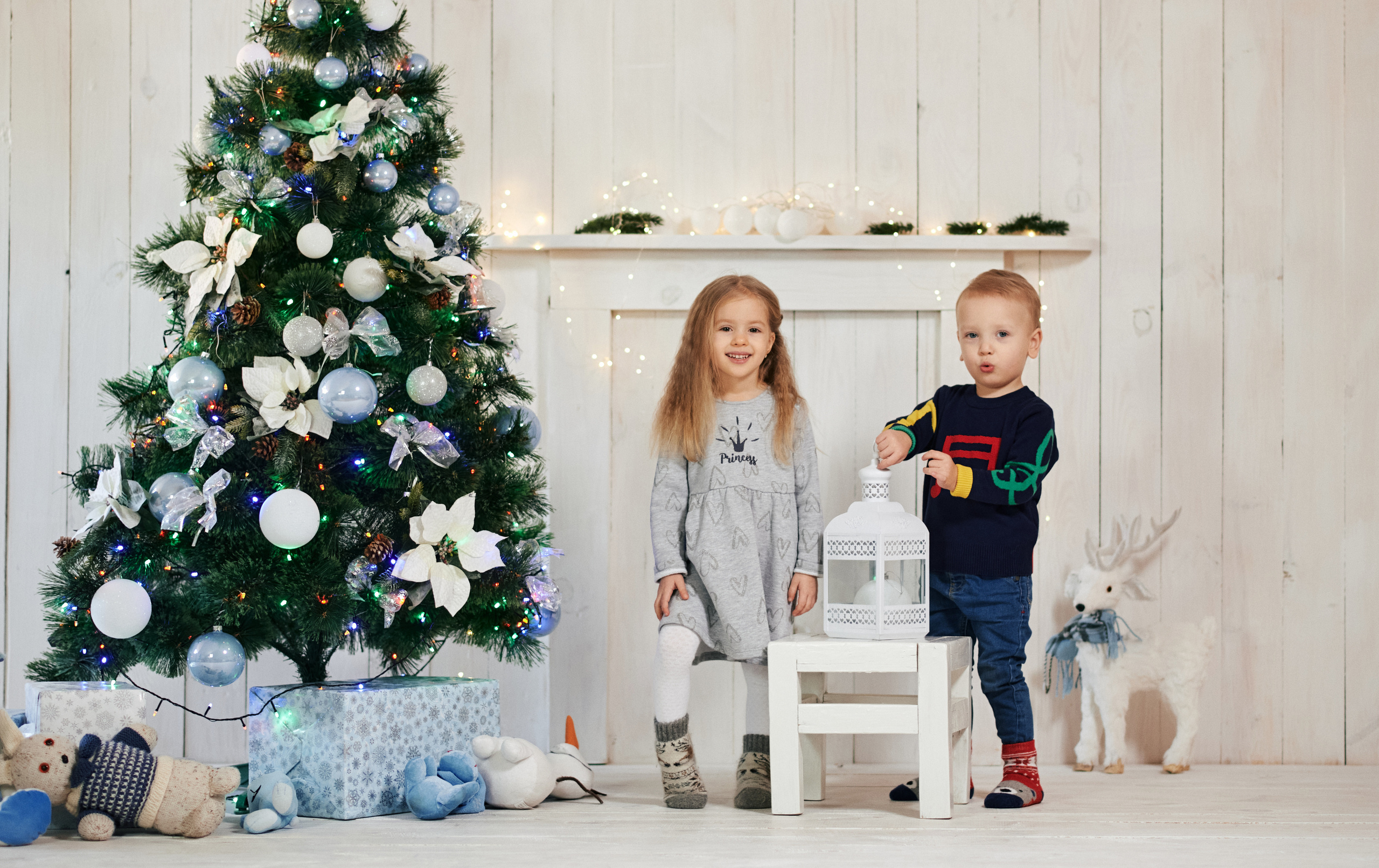 Новорічна, сімейна. Photographer Shepetivka, all over Ukraine, Dzekan Denys!