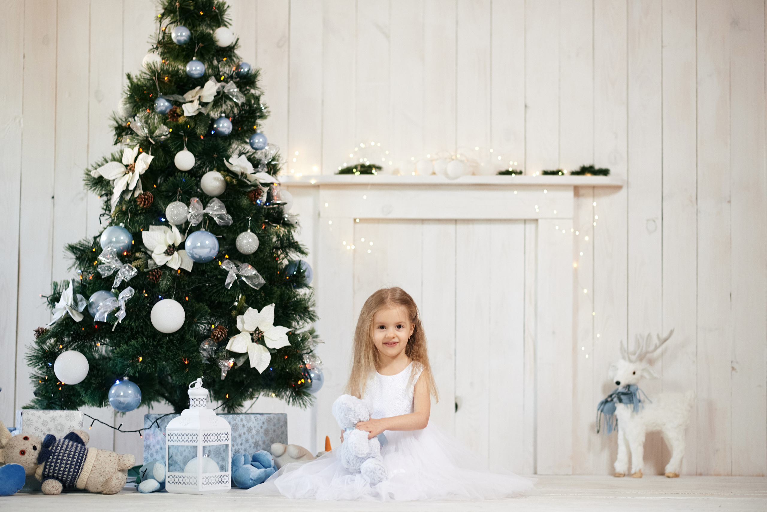 Новорічна, сімейна. Photographer Shepetivka, all over Ukraine, Dzekan Denys!