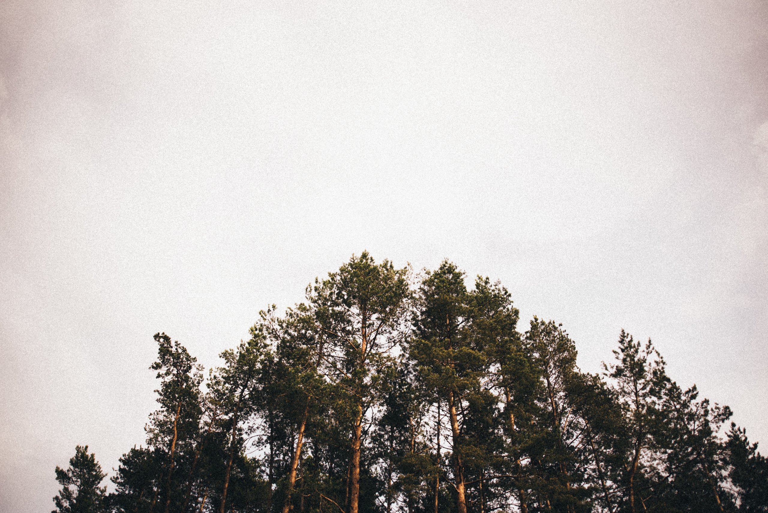 Юра та Діана, Ізяслав. Photographer Shepetivka, all over Ukraine, Dzekan Denys!