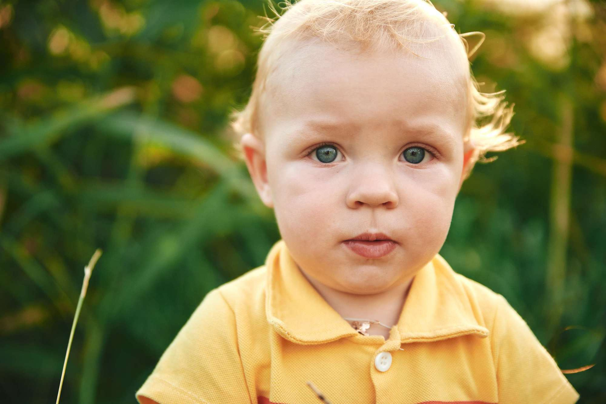 Надя+Рома (сімейна зйомка). Photographer Shepetivka, all over Ukraine, Dzekan Denys!