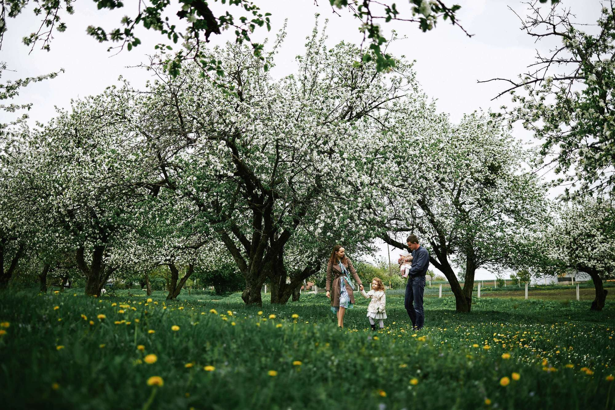 Квітучий садок. Фотограф Шепетівка, вся Україна, Дзекан Денис!