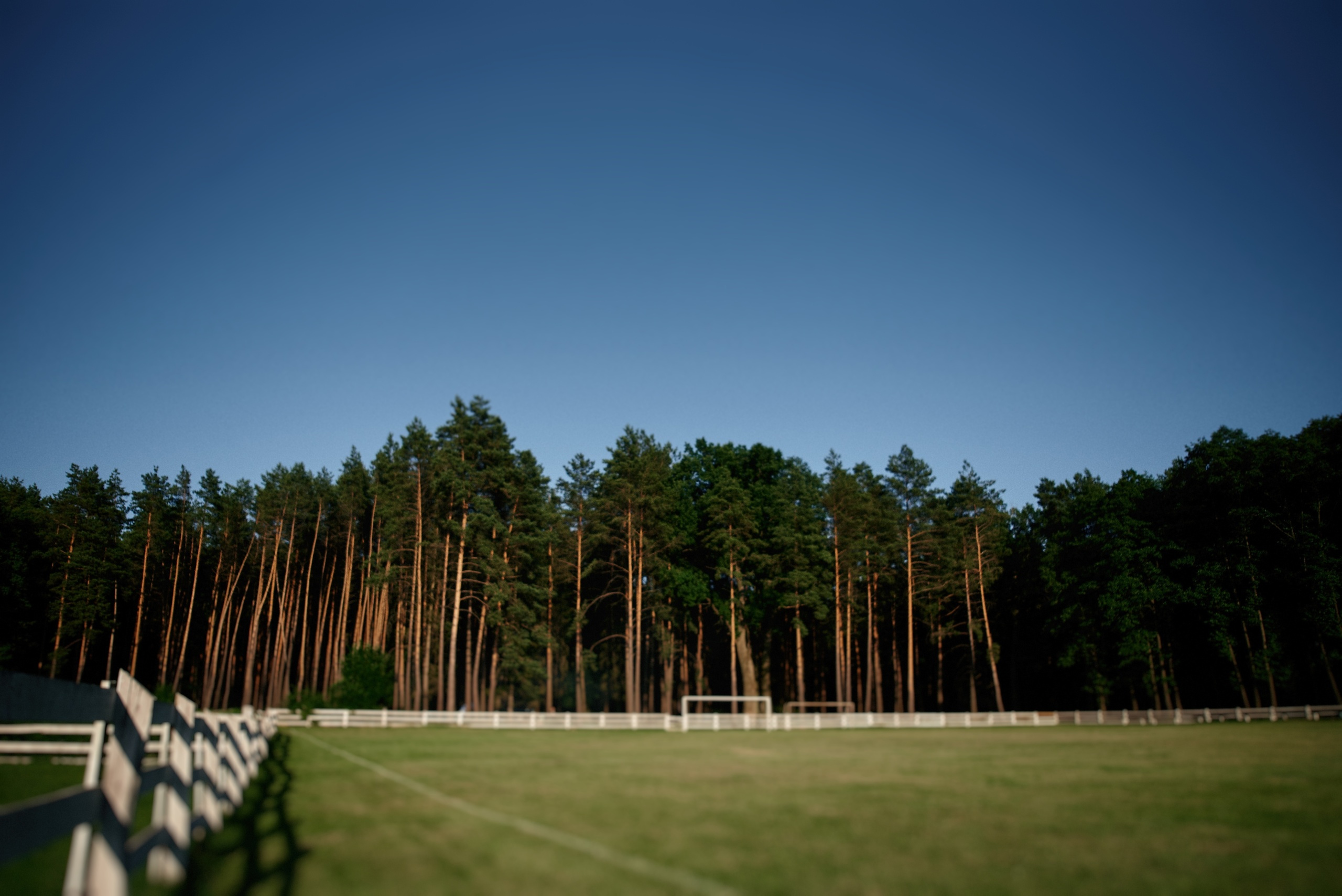 Прогулянка у 3х. Photographer Shepetivka, all over Ukraine, Dzekan Denys!