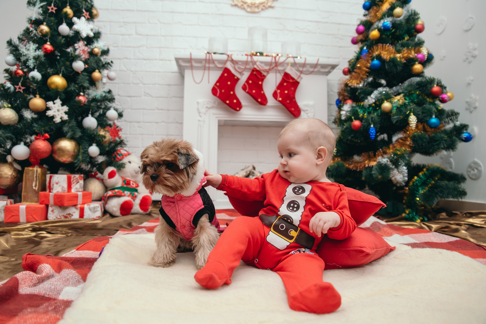 Сімейна, новорічна. Photographer Shepetivka, all over Ukraine, Dzekan Denys!