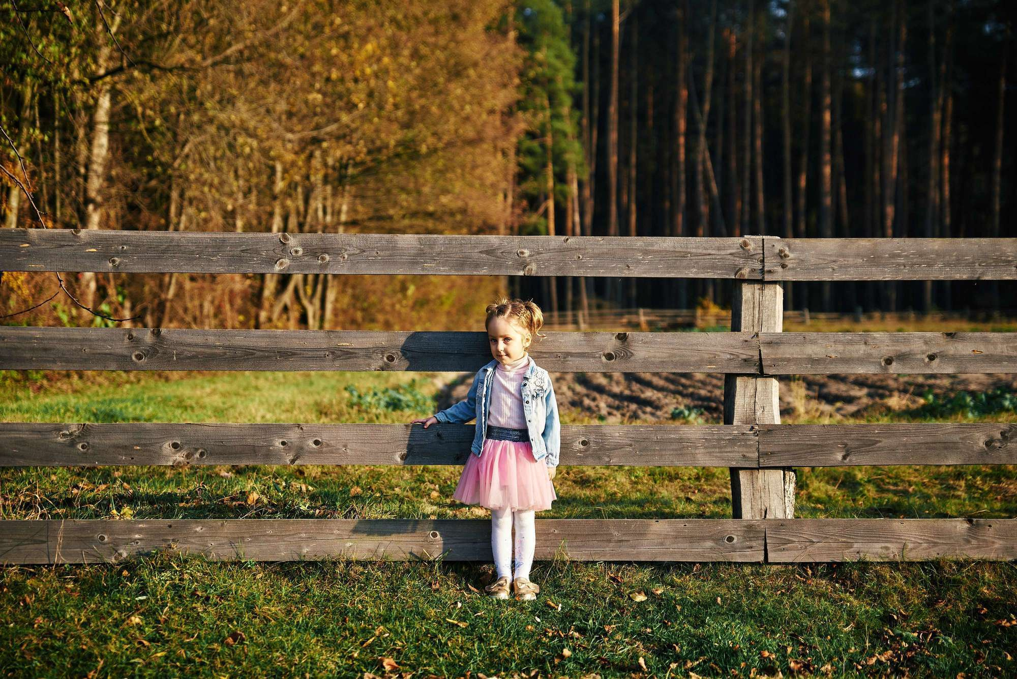 Сімейна. Photographer Shepetivka, all over Ukraine, Dzekan Denys!