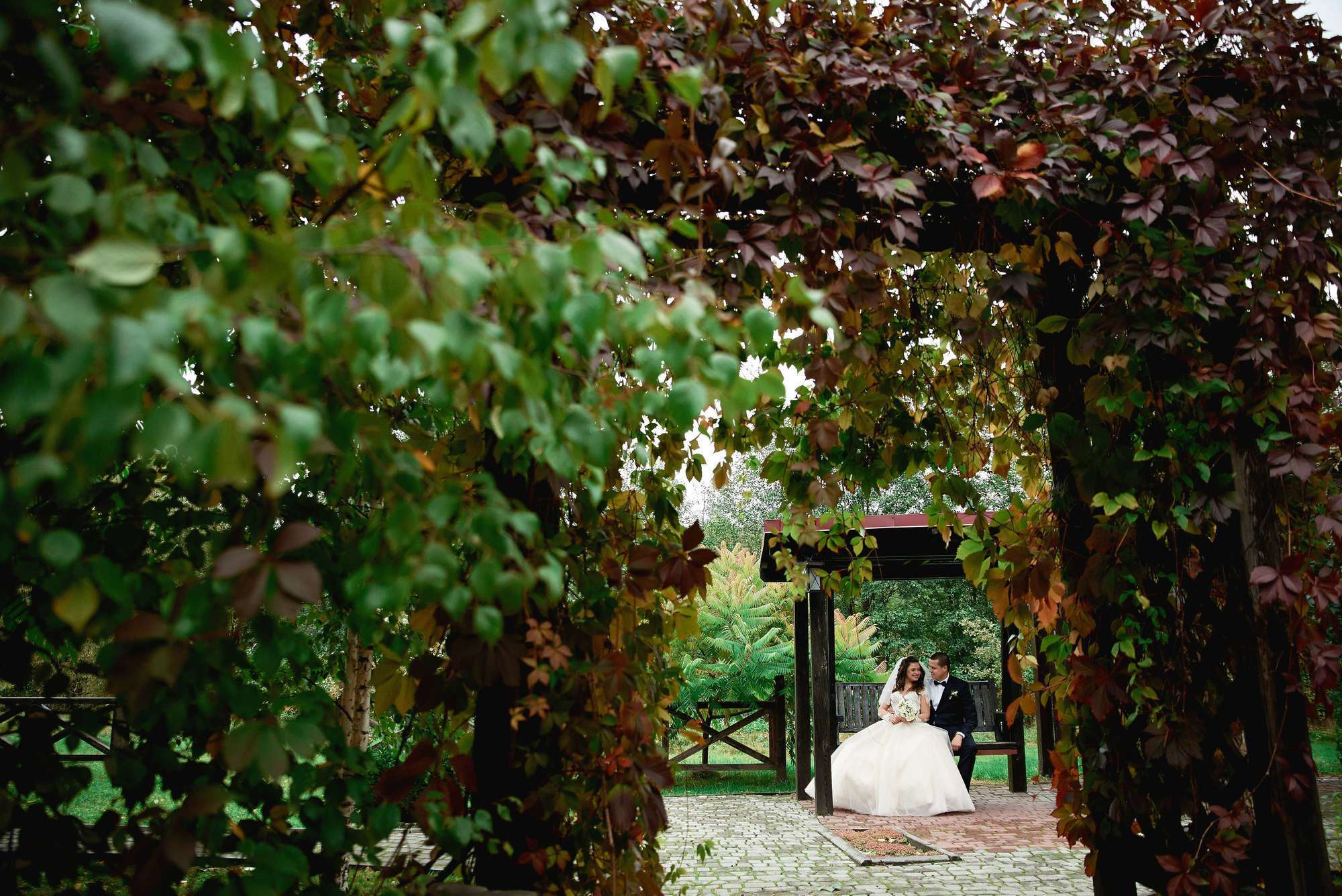 Коля+Даша. Шепетівка, Славута. Photographer Shepetivka, all over Ukraine, Dzekan Denys!