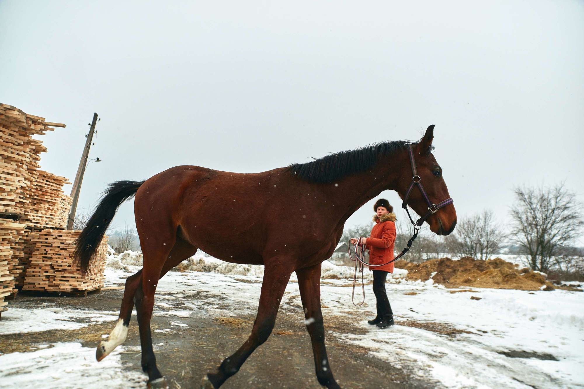 Паша + Даша. Photographer Shepetivka, all over Ukraine, Dzekan Denys!