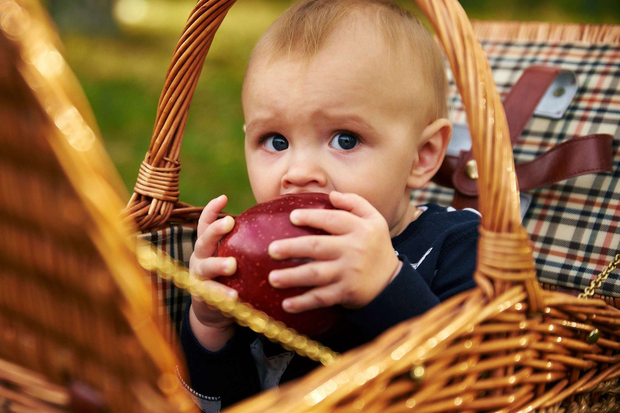 Сімейна прогулянка. Фотограф Шепетівка, вся Україна, Дзекан Денис!