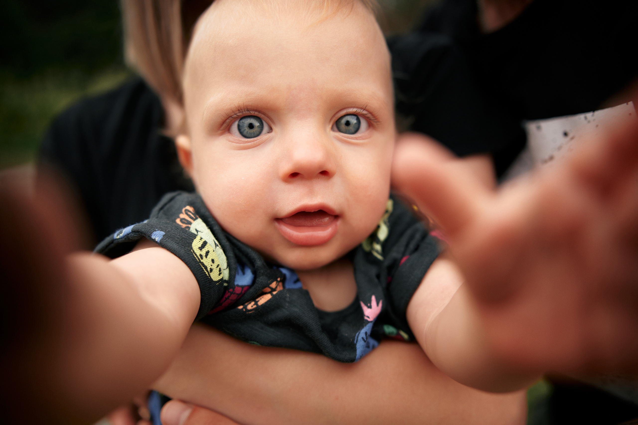 Сімейна прогулянка в сосновому лісі. Photographer Shepetivka, all over Ukraine, Dzekan Denys!