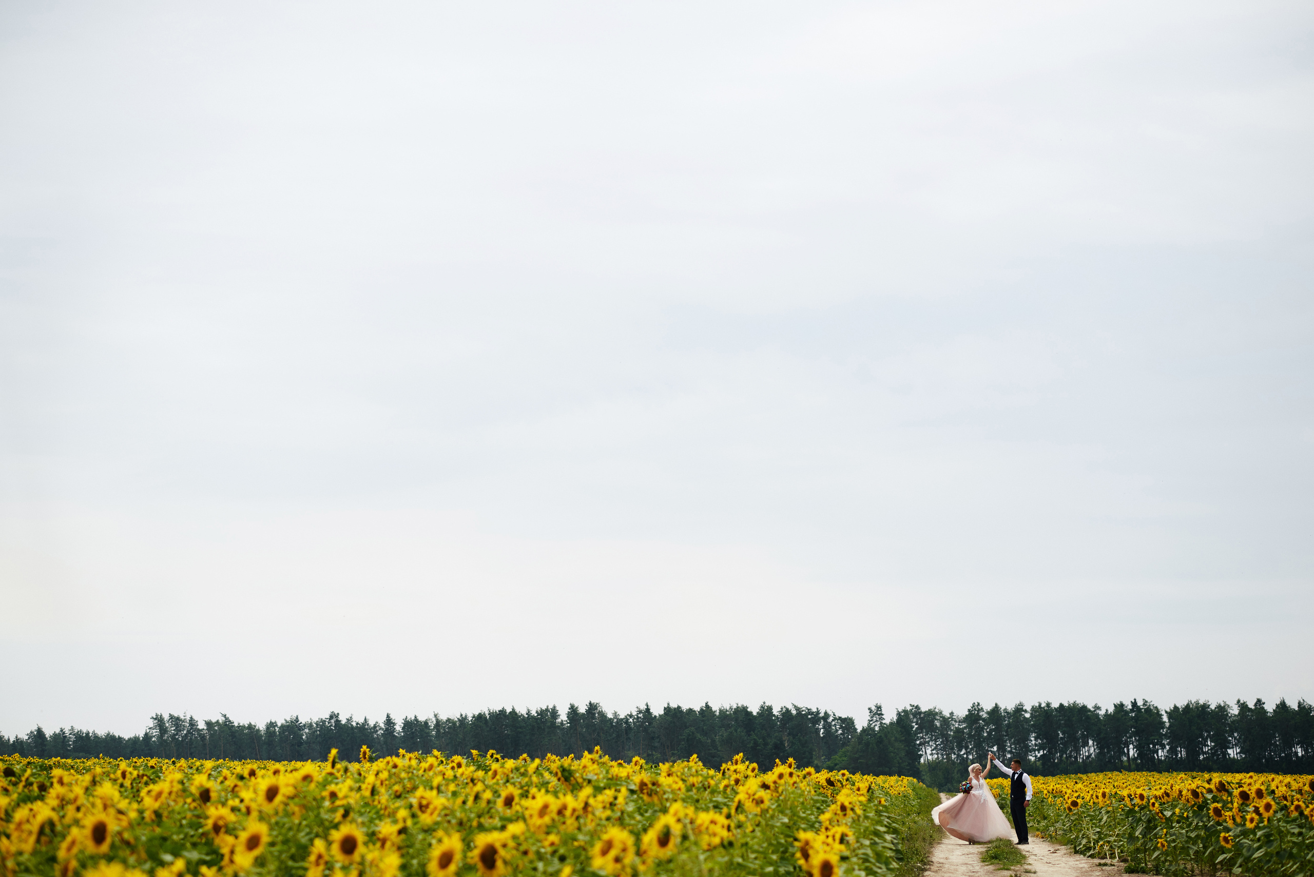 Олексадр & Анастасія, Весілля Нетішин, Сонет, ресторан сонет, весілля. Фотограф Шепетівка, вся Україна, Дзекан Денис!