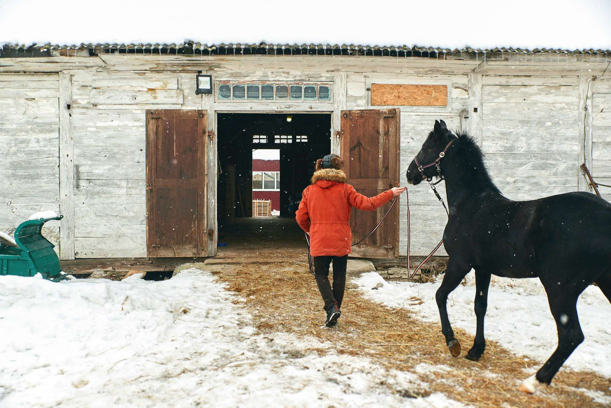 Паша + Даша. Photographer Shepetivka, all over Ukraine, Dzekan Denys!